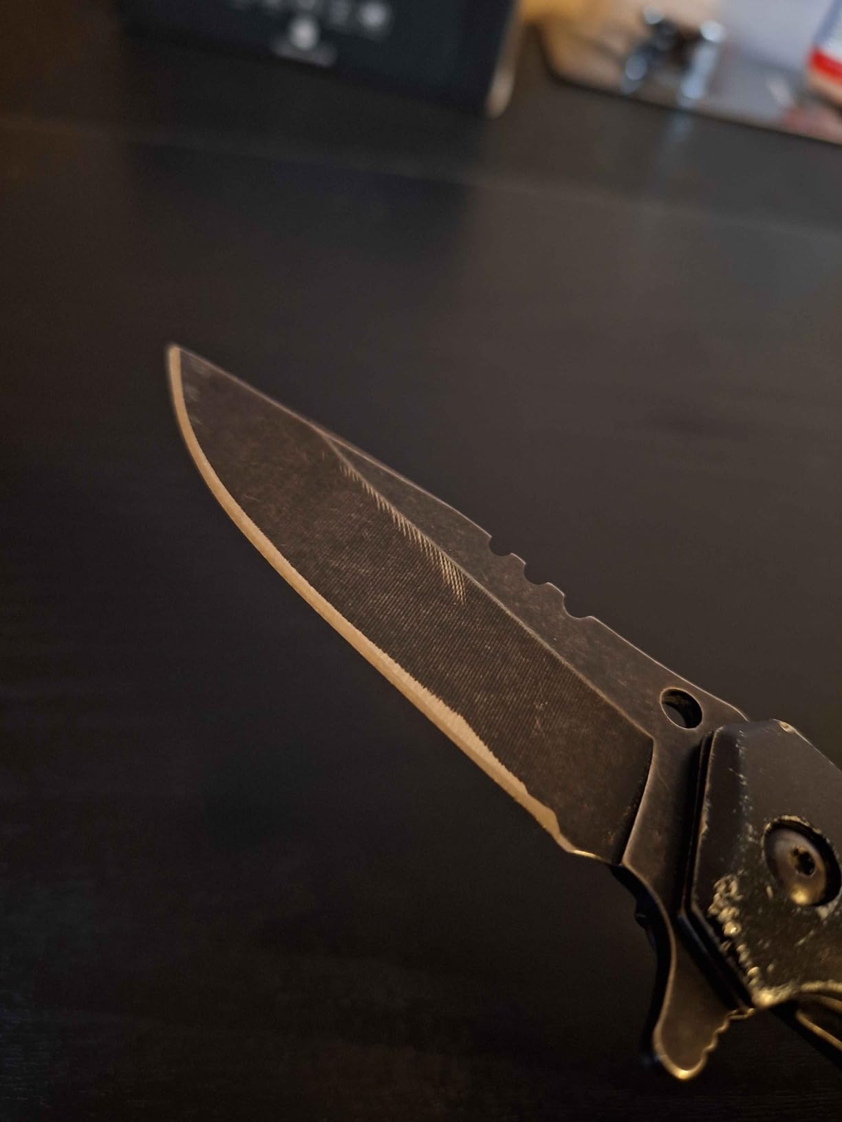 Presto 08810 Professional Electric Knife Sharpener, Multi/None customer photo 1