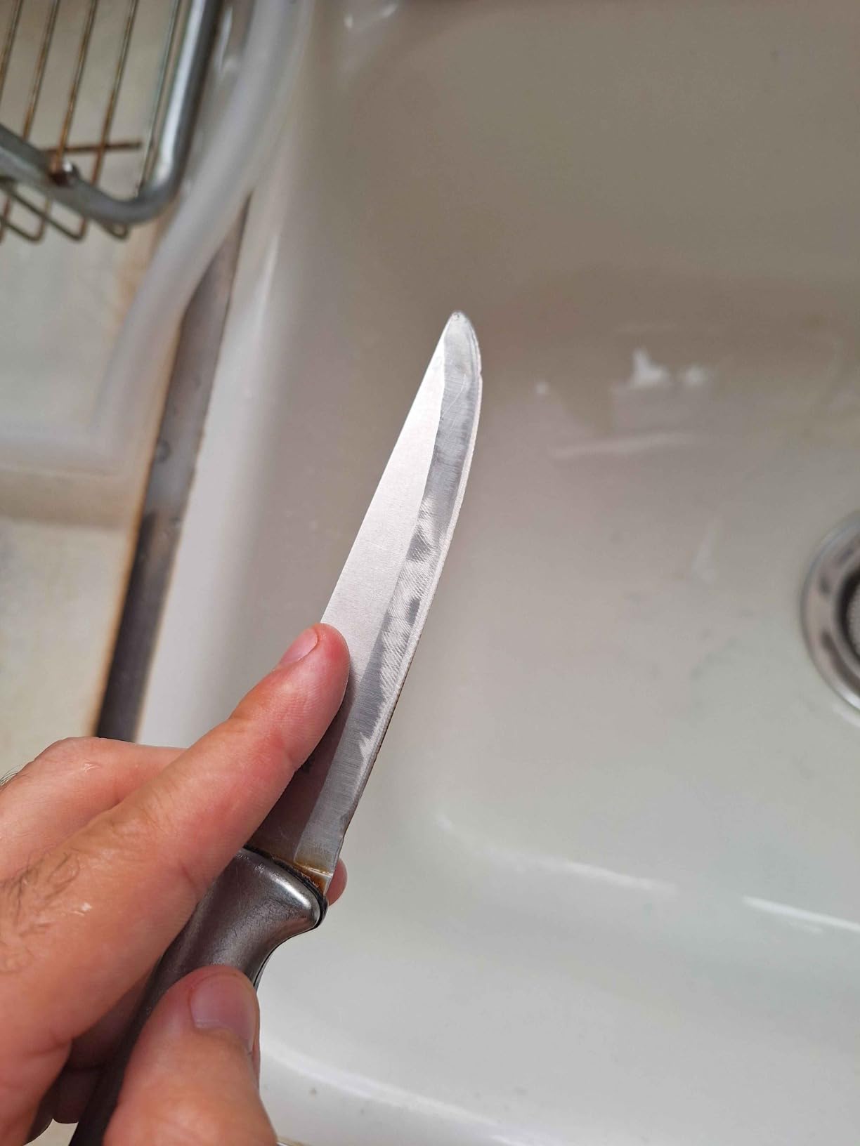 Presto 08810 Professional Electric Knife Sharpener, Multi/None customer photo 2