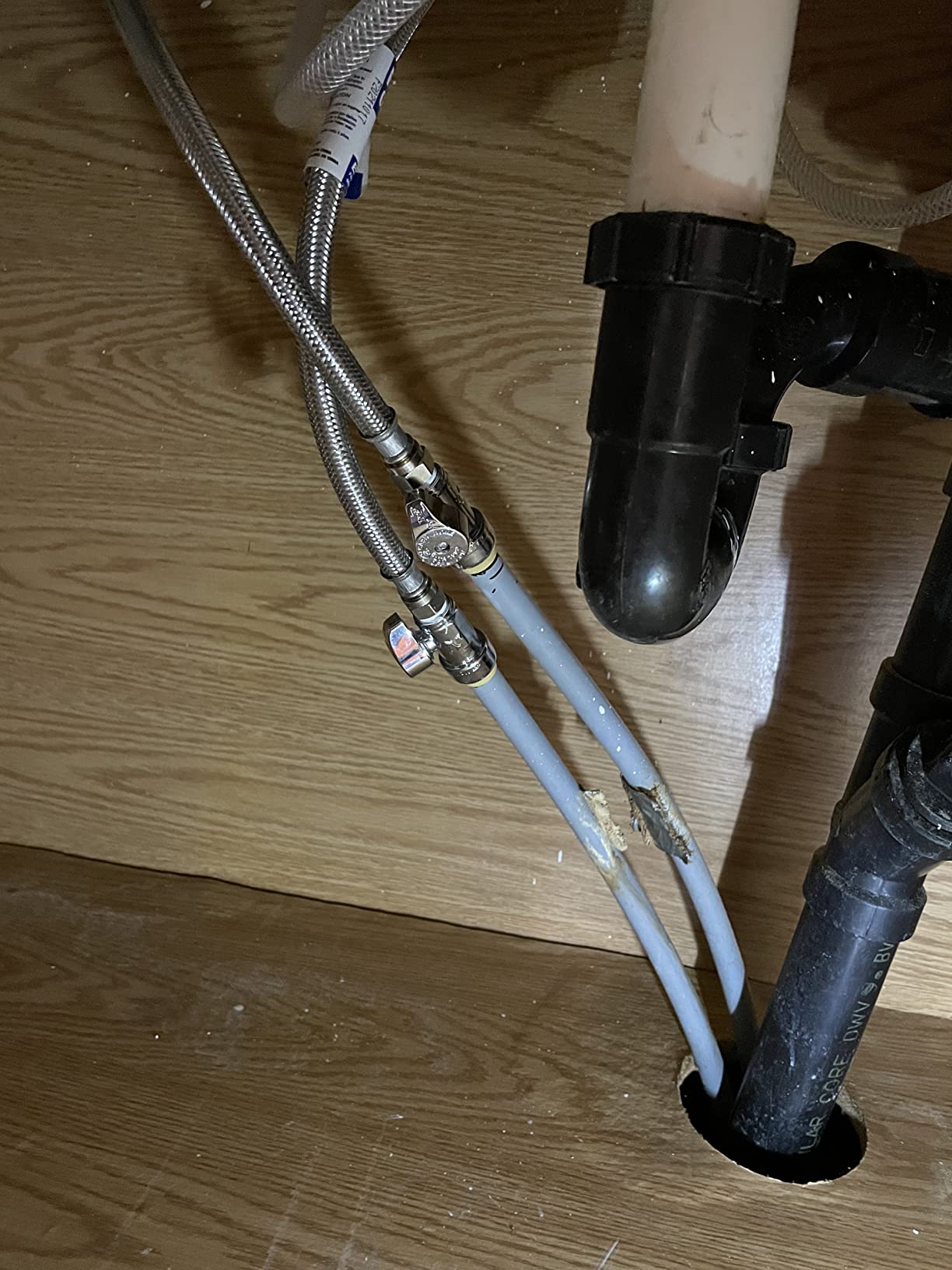 Elkay D233194 Dayton Equal Double Bowl Drop-in Stainless Steel Sink 33 x 19 x 6.5 customer photo 1