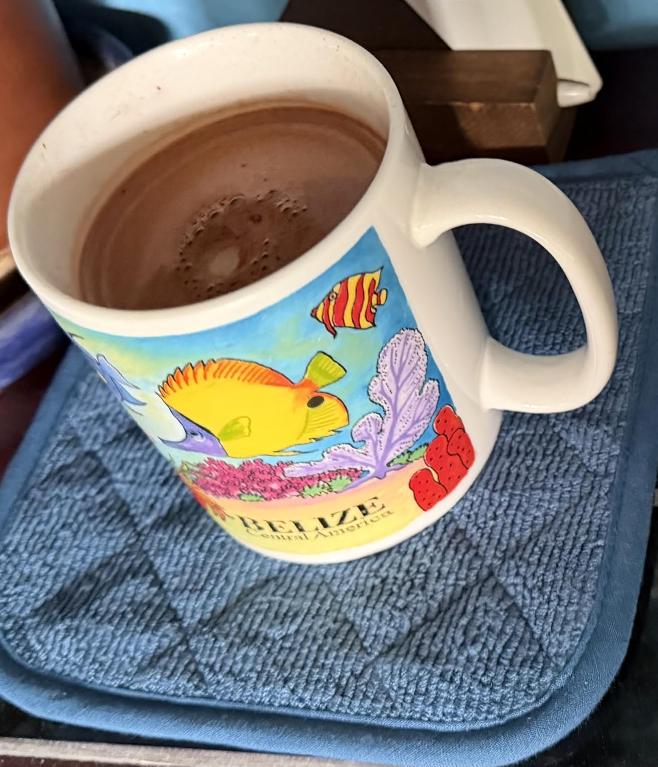 DII Basic Terry Collection Quilted 100% Cotton, Potholder, Blue, 3 Piece customer photo 1