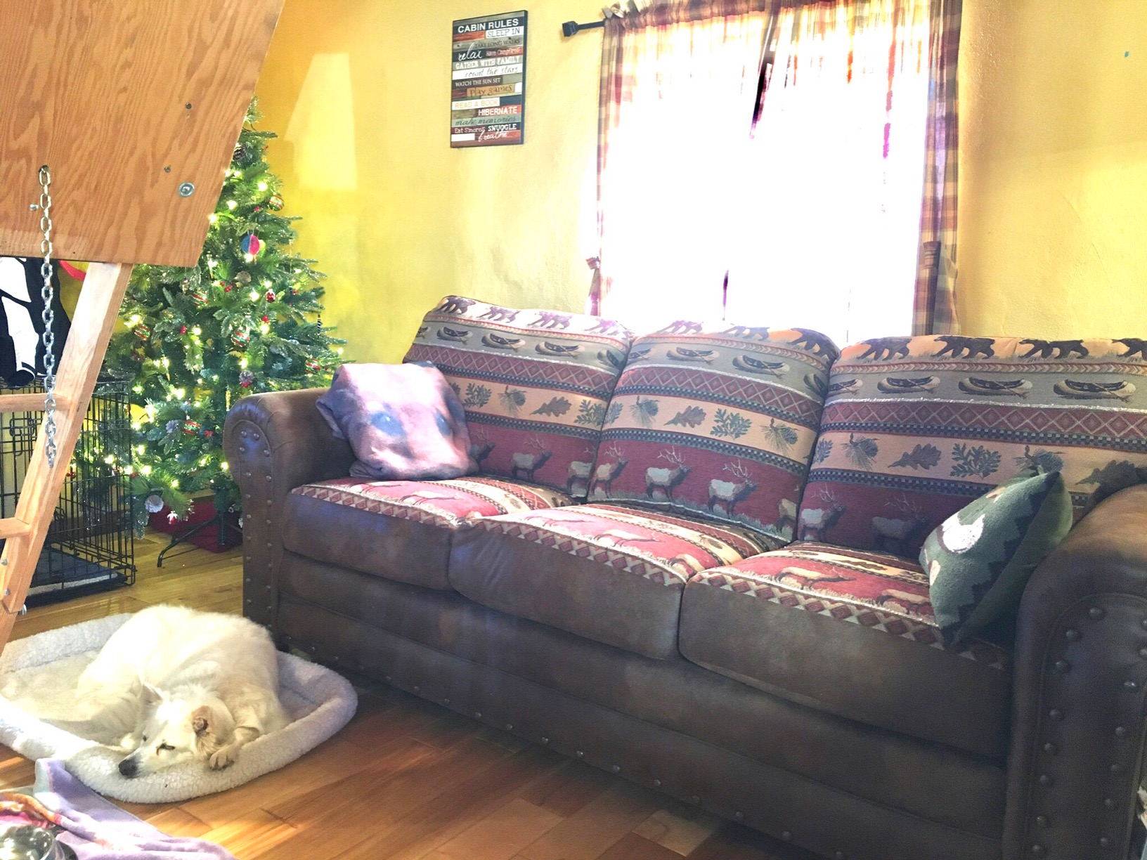 American Furniture Classics Traditional Microfiber Wild Horses Sofa in Brown customer photo 2