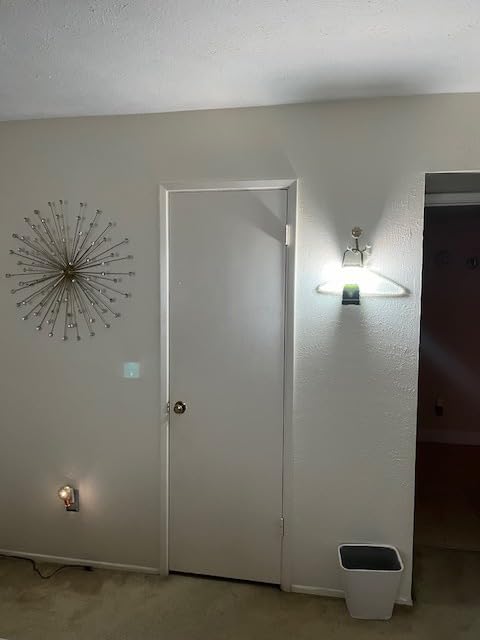 LE 1000LM Battery Powered LED Camping Lantern, Waterproof Tent Light with 4 Light Modes, Camping Essentials, Portable Lantern Flashlight for Camping, Emergency Light, Power Outages, Not Rechargeable customer photo 1