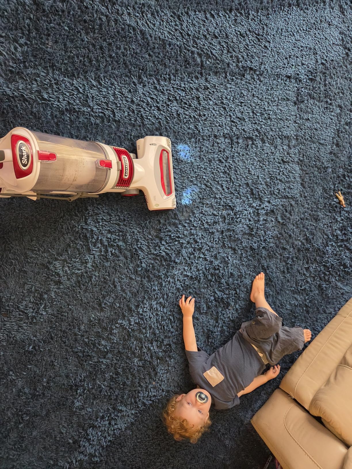 Shark NV501 Rotator Professional Lift-Away Upright Vacuum with HEPA Filter, Swivel Steering, LED Headlights, Wide Upholstery Tool, Dusting Brush & Crevice Tool, White/Red customer photo 1