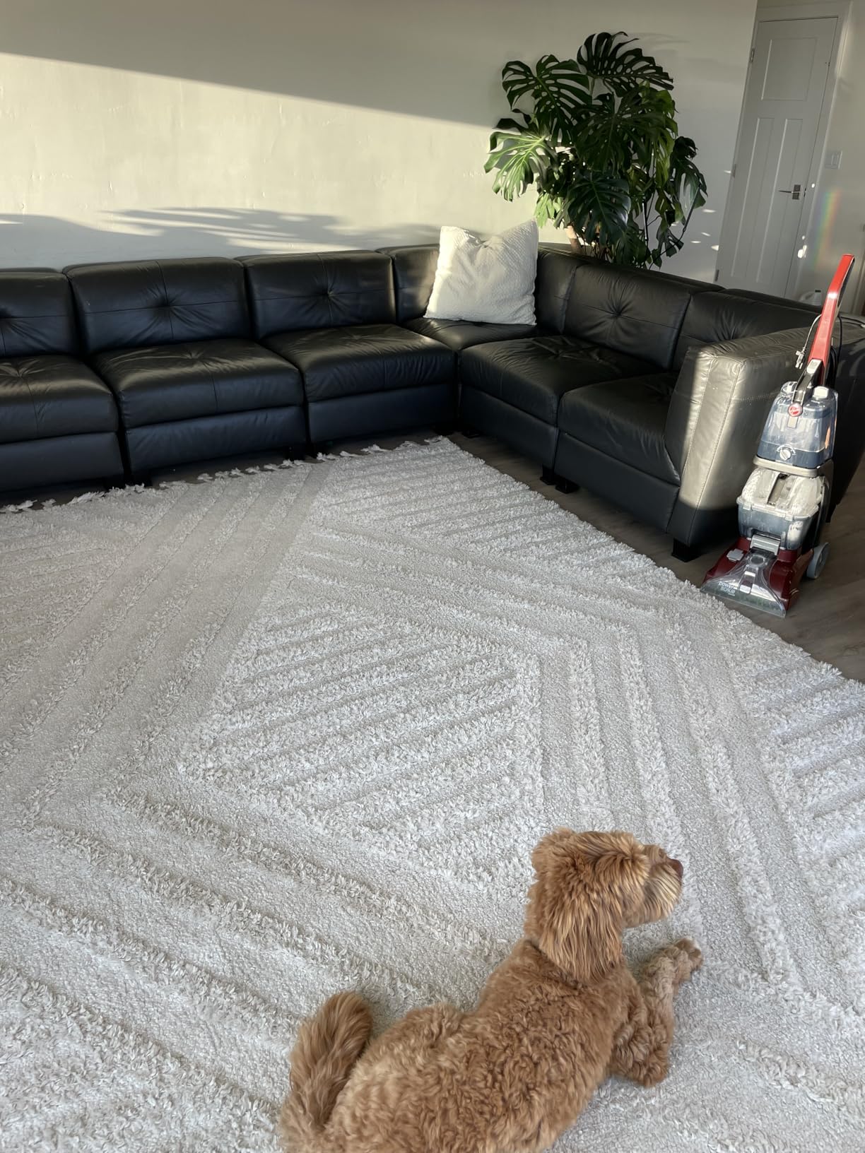 Hoover PowerScrub Deluxe Carpet Cleaner Machine for Carpet and Upholstery, Deep Cleaning Carpet Shampooer Machine with Multi-Purpose Tools customer photo 1