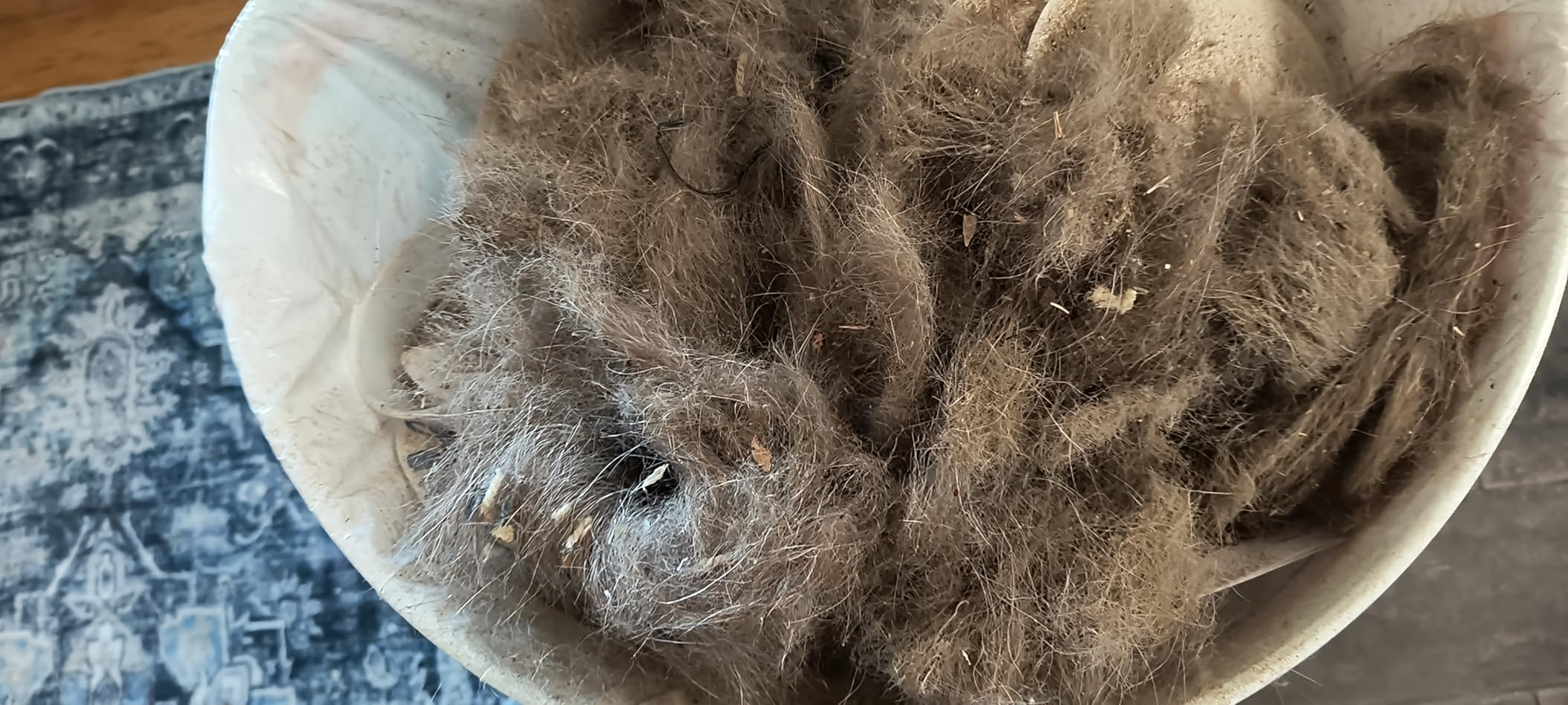 Shark Rocket Ultra-Light Corded Bagless Vacuum for Carpet and Hard Floor Cleaning with Swivel Steering (HV301), Gray/Orange customer photo 2