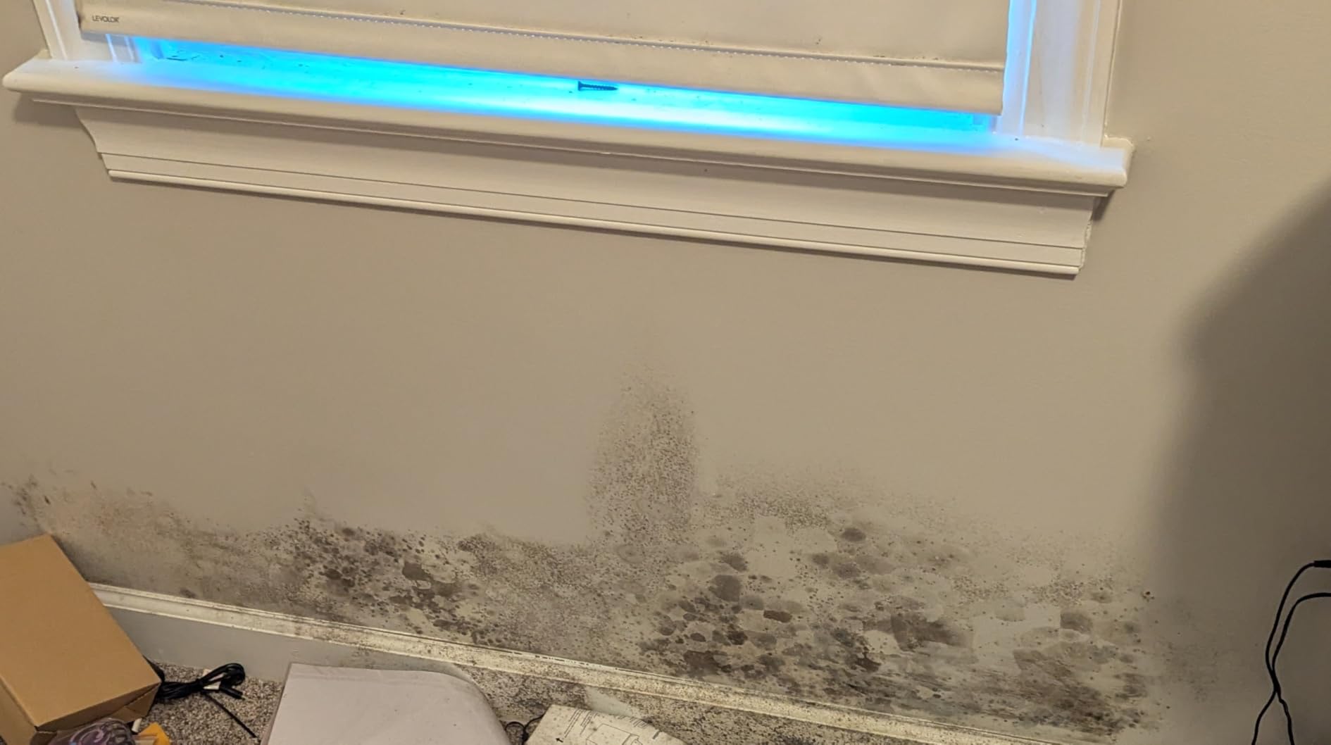 qt Zinsser 276087 White Zinsser, Mold Killing Primer Water-Based Mold Killing Primer customer photo 2
