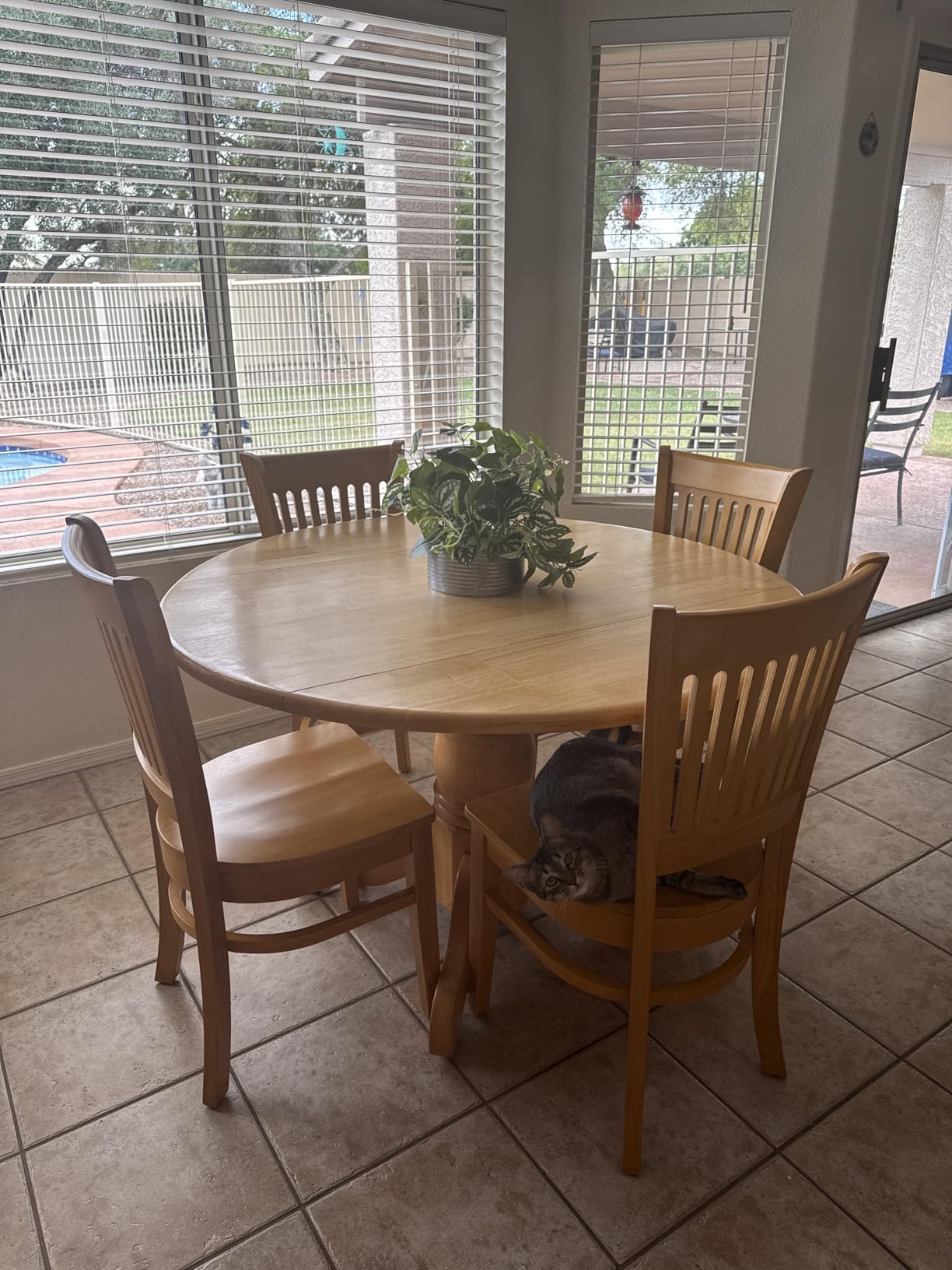 East West Furniture VAC-OAK-W Vancouver Kitchen Dining Chairs - Slat Back Wooden Seat Chairs, Set of 2, Oak customer photo 2