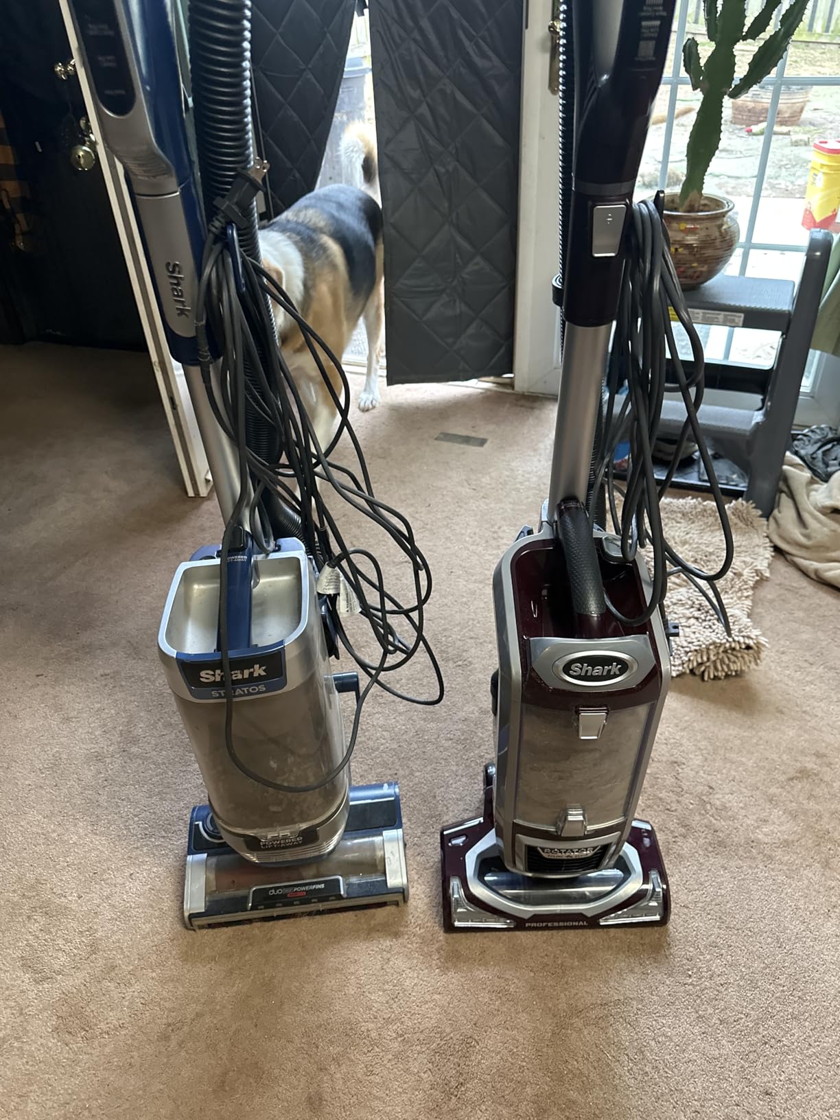 Shark NV752 Rotator Powered Lift-Away TruePet Upright Vacuum with HEPA Filter, Large Dust Cup Capacity, LED Headlights, Upholstery Tool, Perfect Pet Power Brush & Crevice Tool, Bordeaux customer photo 2