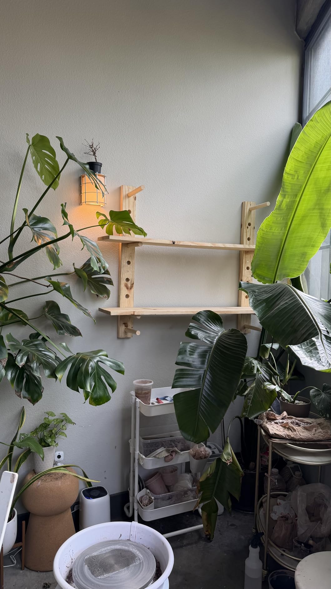 DCA Cordless Drill Set, 354 in-lbs Torque, 3/8