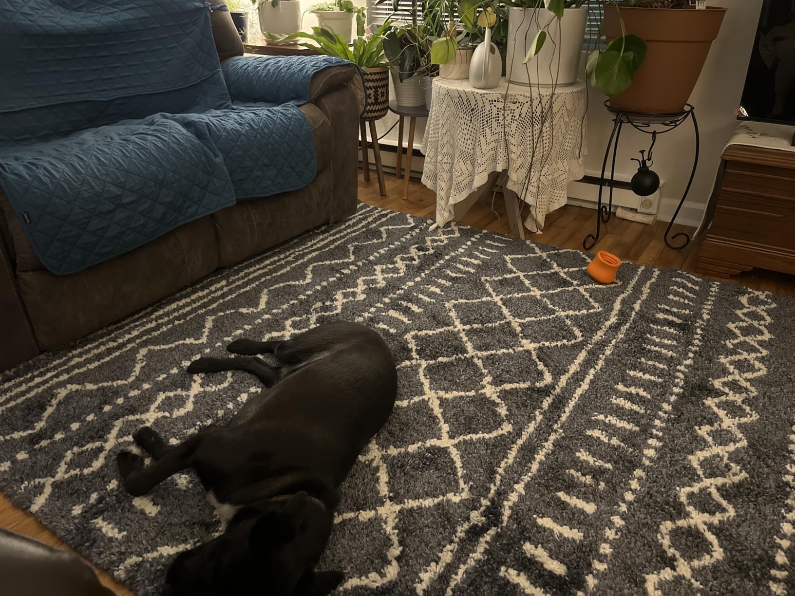 SAFAVIEH Arizona Shag Collection Area Rug - 9' x 12', Ivory & Beige, Moroccan Boho Design, Non-Shedding & Easy to Clean customer photo 1
