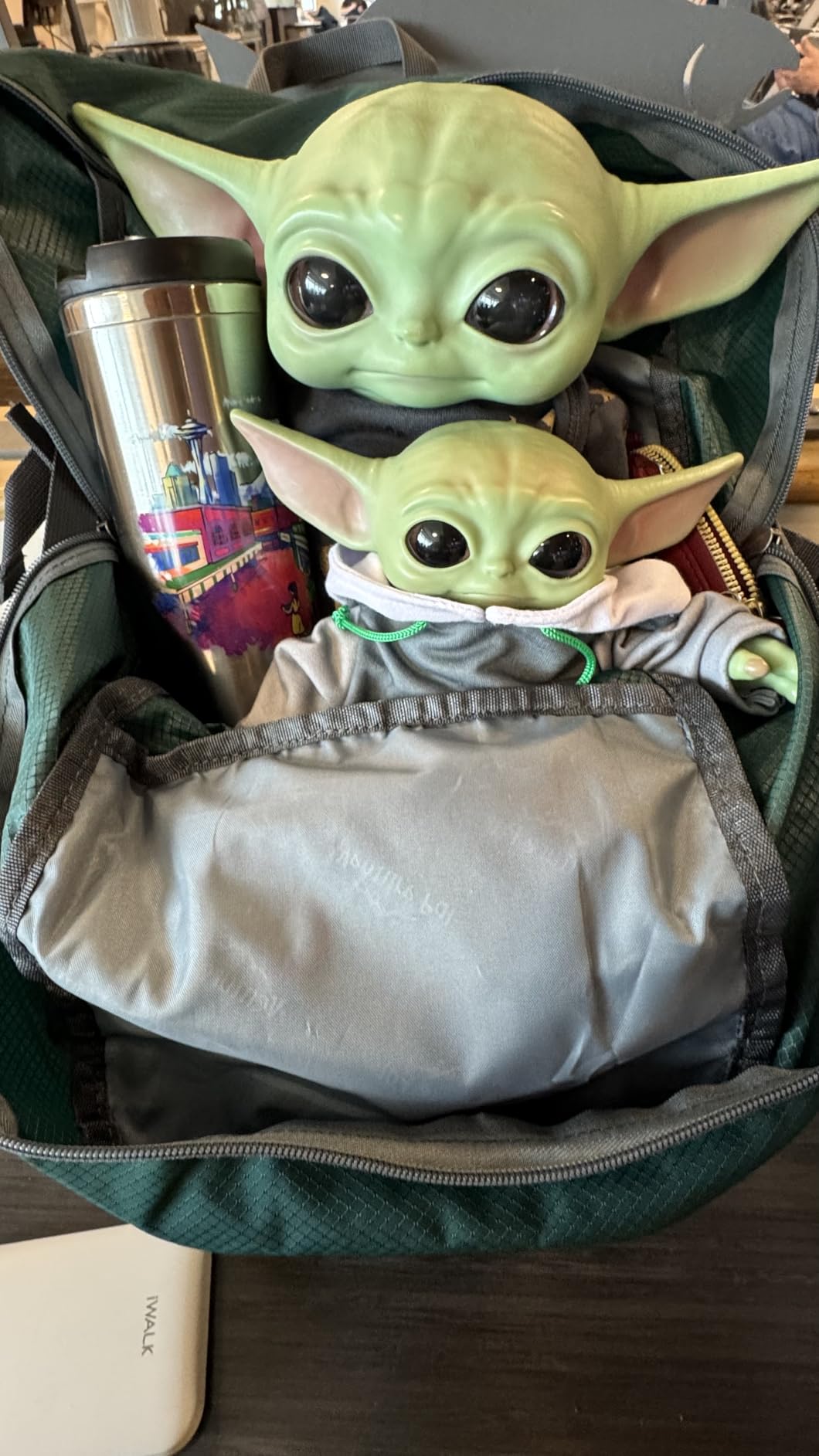 Venture Pal 35L Ultralight Lightweight Packable Foldable Travel Camping Hiking Outdoor Sports Backpack Daypack customer photo 1