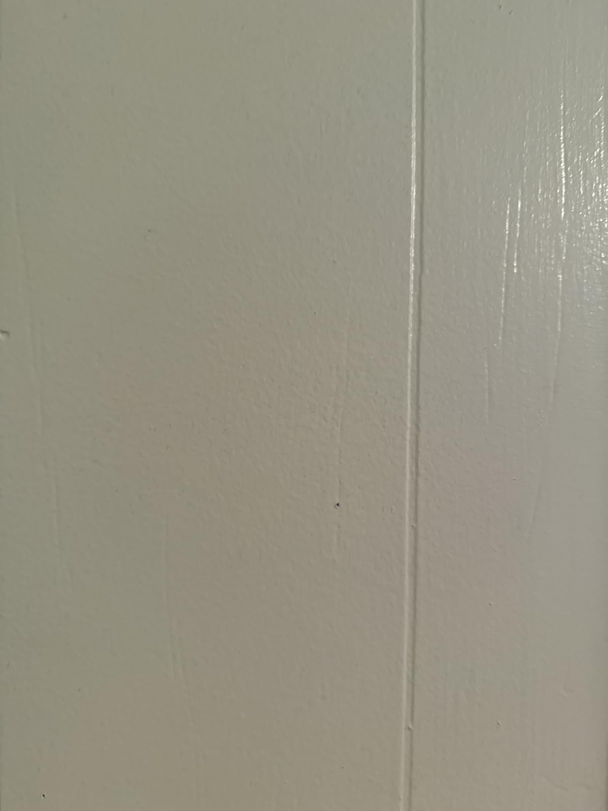 PRESTIGE Paints Interior Paint and Primer In One, 1 Gallon, Semi-Gloss, Comparable Match of Benjamin Moore Sage Tint customer photo 2