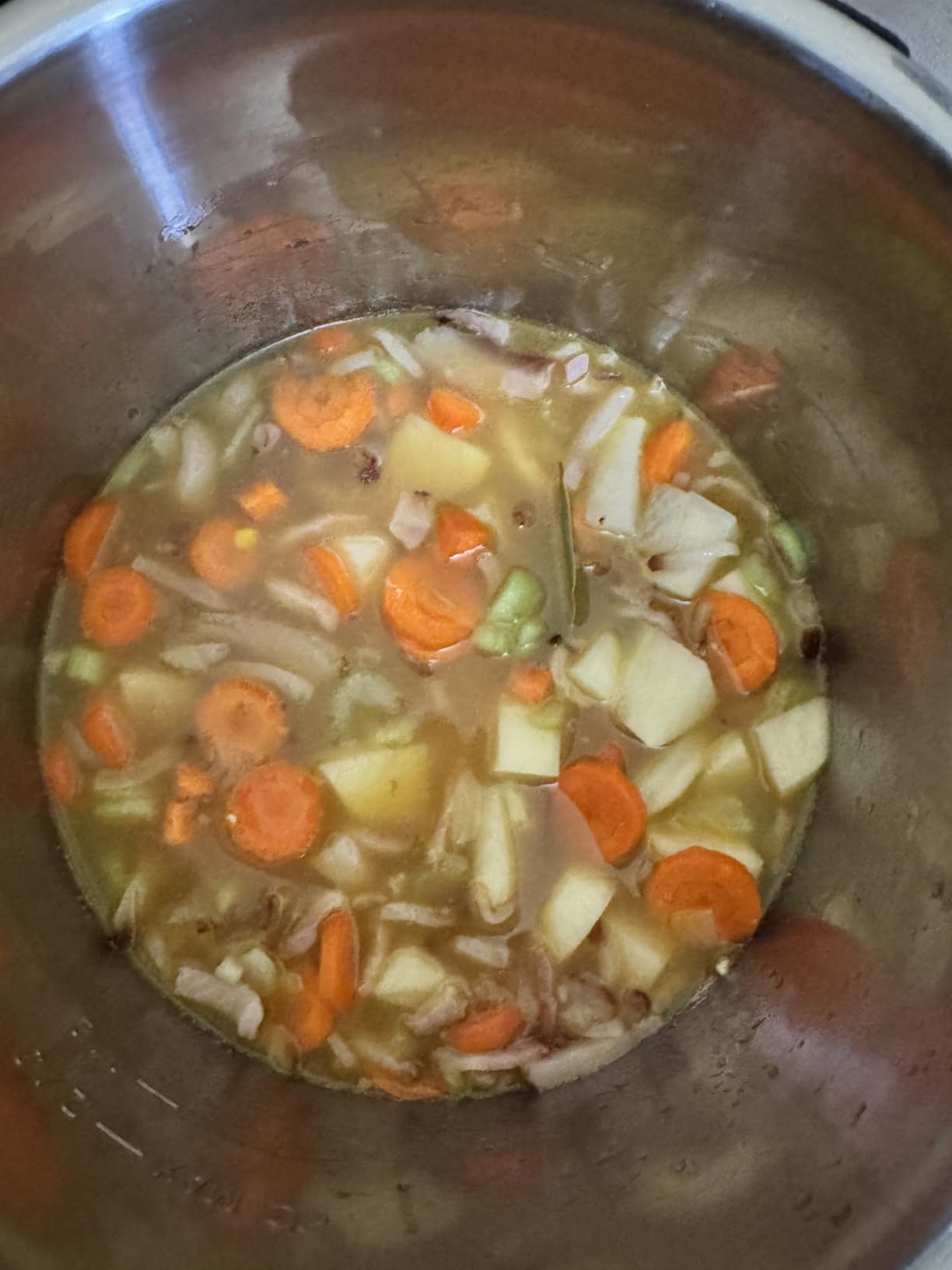 Instant Pot Duo Plus 9-in-1 Multicooker, Pressure Cooker, Slow Cook, Rice Maker, Steamer, Sauté, Yogurt, Warmer & Sterilizer, Includes App with Over 800 Recipes, Stainless Steel, 6 Quarts customer photo 2