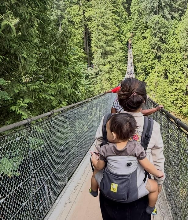 LÍLLÉbaby 3-in-1 Ergonomic CarryOn Airflow Toddler Carrier with Lumbar Support & Breathable Mesh (25-60 lbs), Supportive & Comfortable, Multi-Position Carrying for Hiking & Travel (Charcoal/Silver) customer photo 1