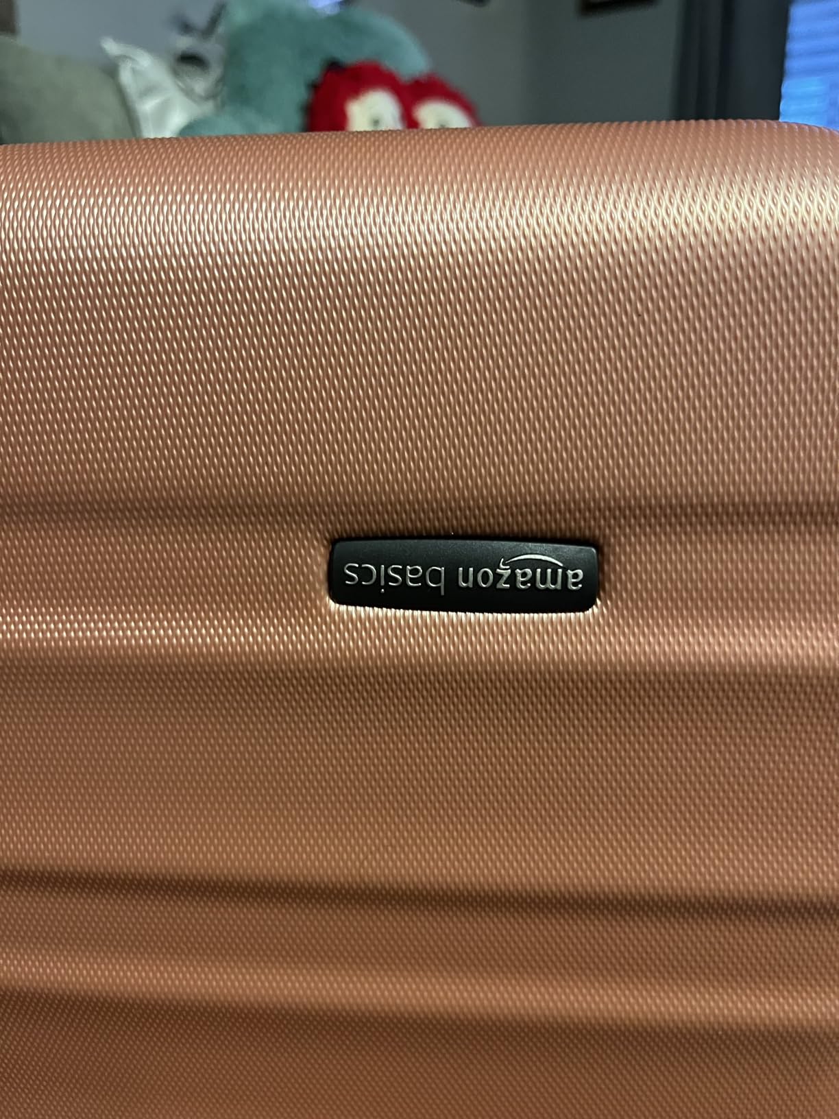 Amazon Basics 3-Piece Hardshell Luggage Set (21