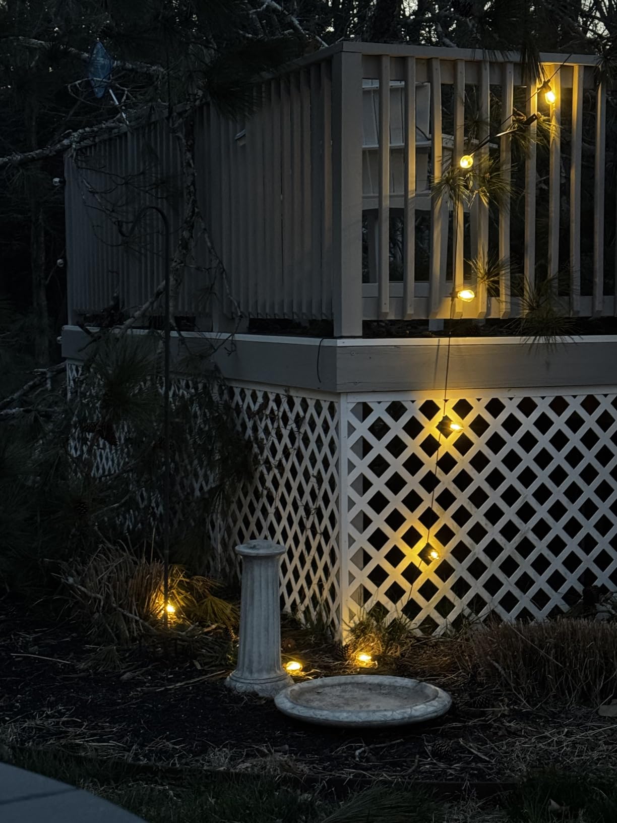 Brightech Ambience Pro Solar Powered Outdoor String Lights -27 ft Commercial Grade Waterproof Edison Patio Lights, Shatterproof LED String Lights for Outside, Porch - 12 Bulbs, 1W Soft White customer photo 1