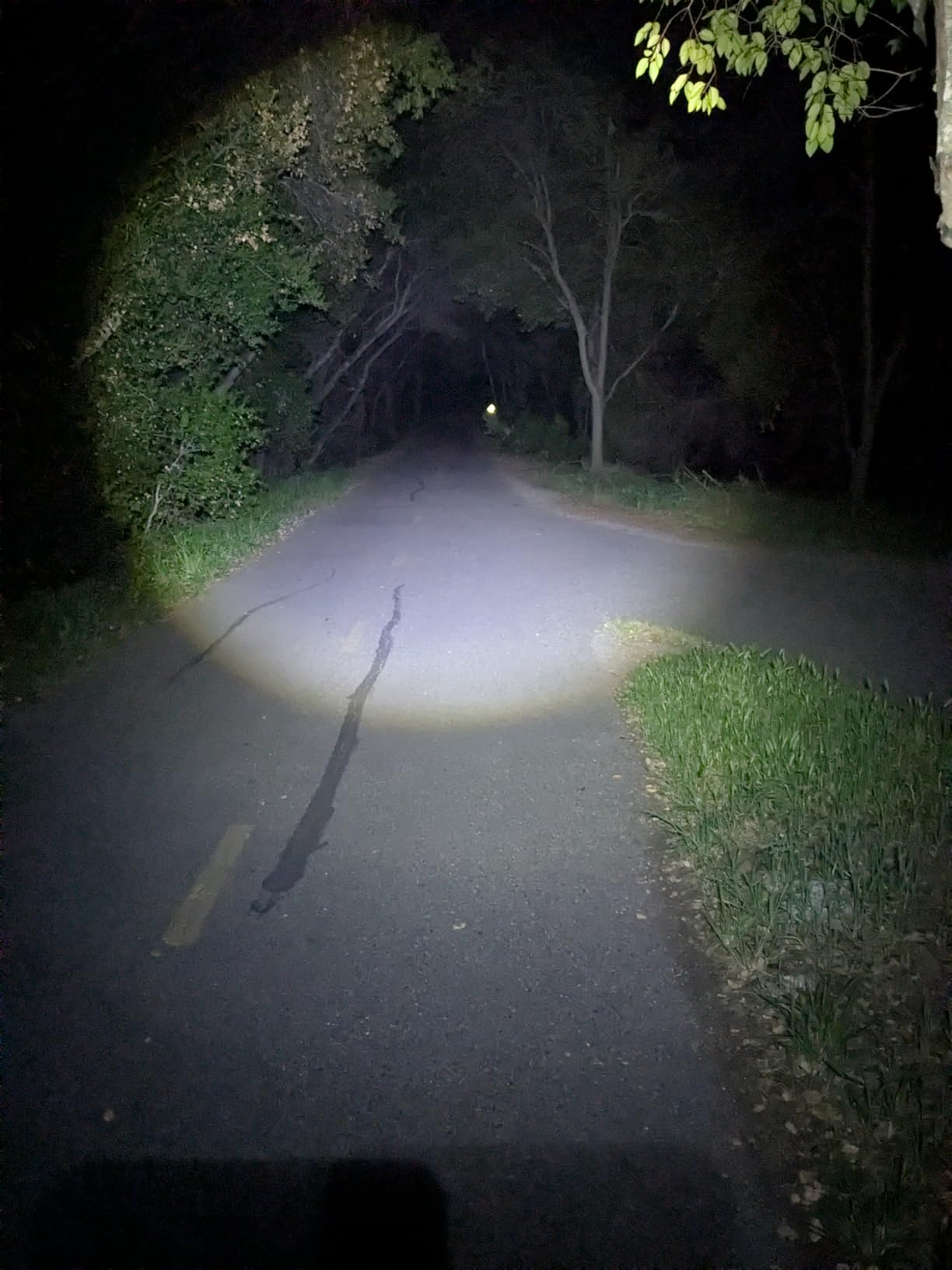 DanForce Headlamp. USB Rechargeable LED Head Lamp. Ultra Bright LUMINUS 1080 Lumen Headlamp Flashlight + Red Light. HeadLamps for Adults, Camping, Outdoors & Hard Hat Light. Zoomable IPX54 Headlight customer photo 1