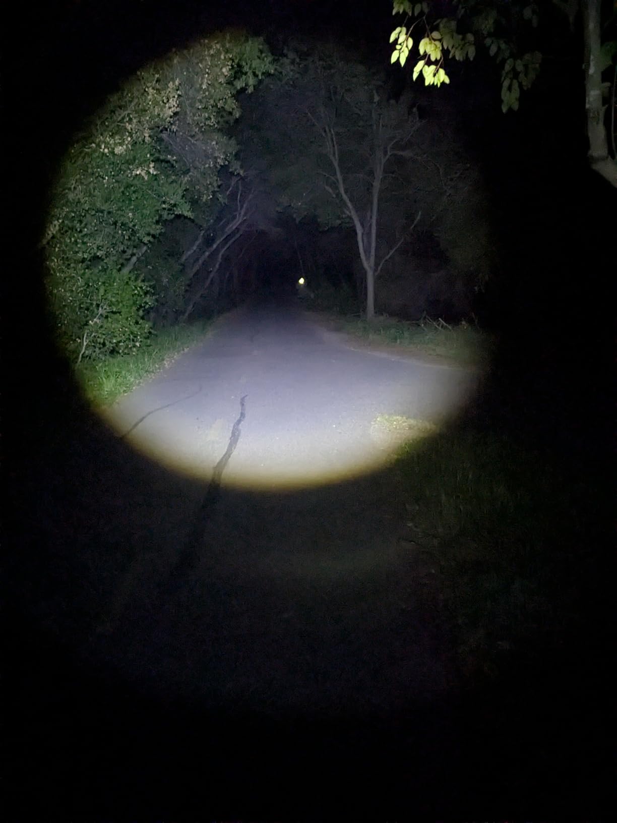 DanForce Headlamp. USB Rechargeable LED Head Lamp. Ultra Bright LUMINUS 1080 Lumen Headlamp Flashlight + Red Light. HeadLamps for Adults, Camping, Outdoors & Hard Hat Light. Zoomable IPX54 Headlight customer photo 2