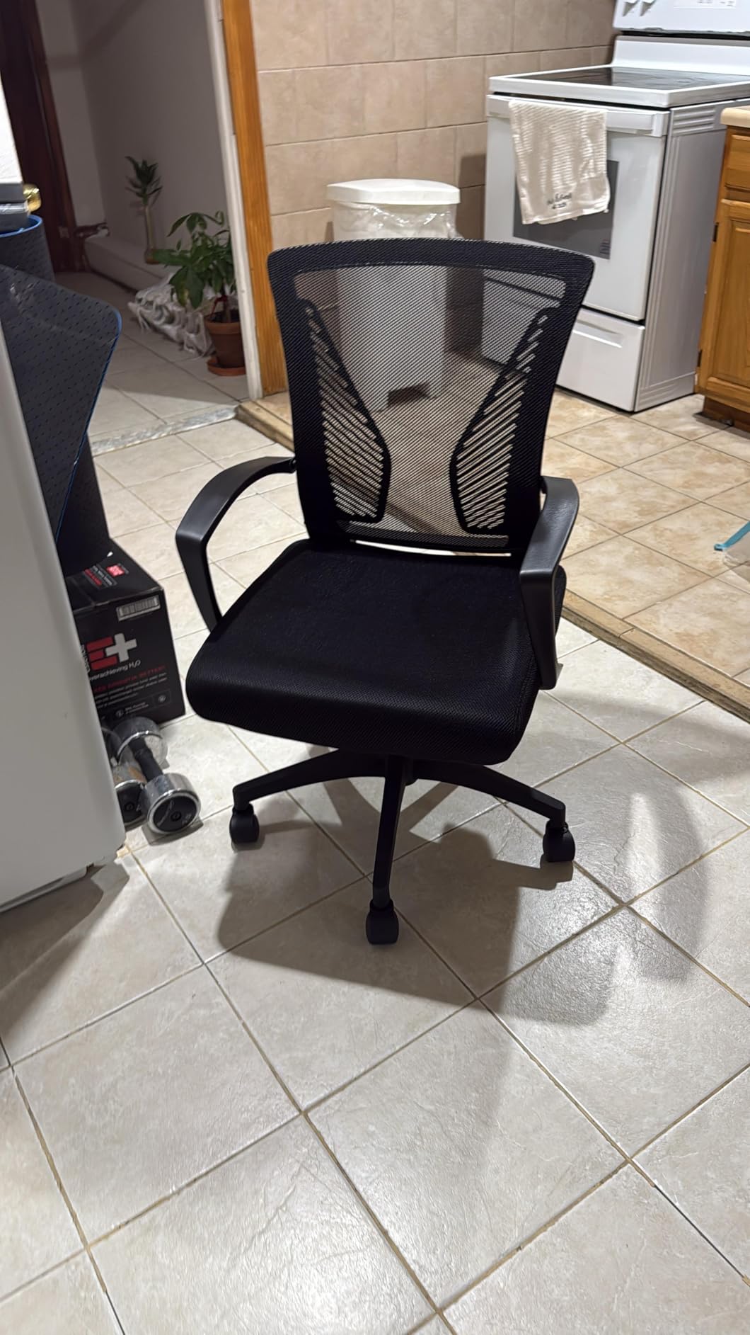 Furmax Office Chair Ergonomic Computer Desk Mesh Chair Mid Back Swivel Lumbar Support with Armrest (1, Black) customer photo 1