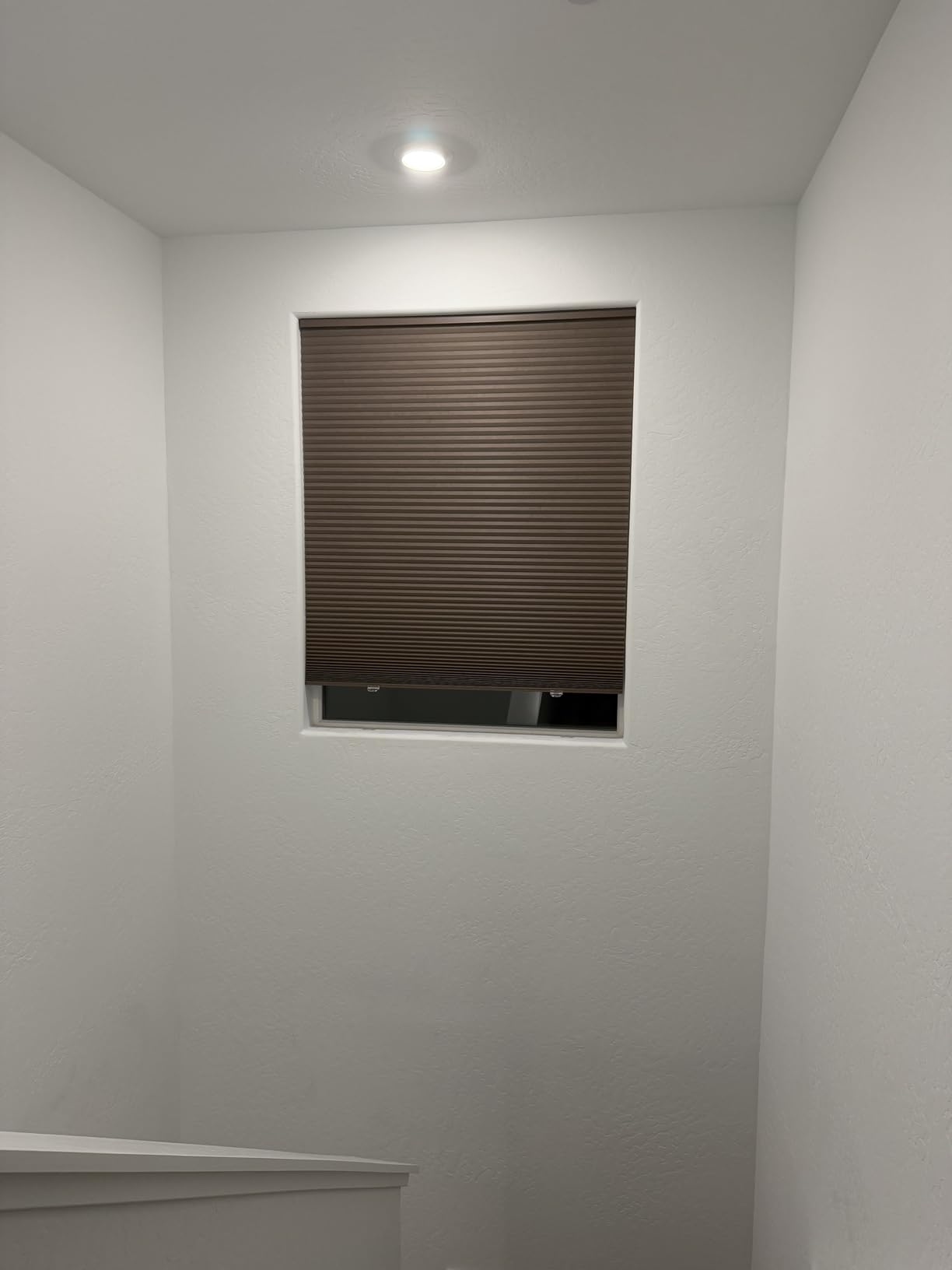 BlindsAvenue Cellular Honeycomb Cordless Polyester Shade, 9/16