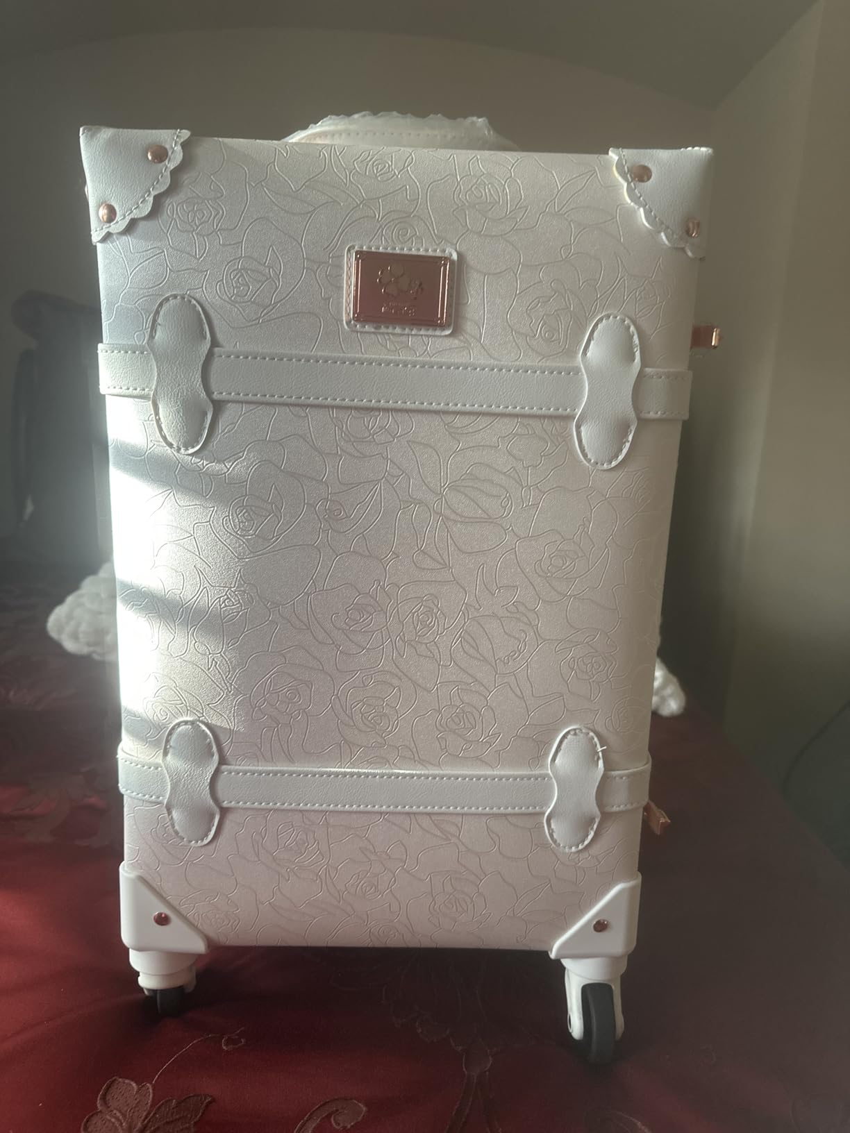 Vintage Luggage Set, 2 Piece Retro Leather Suitcase for Women, Travel Luggage with Spinner Wheels and Beauty Case (Rose White, 20