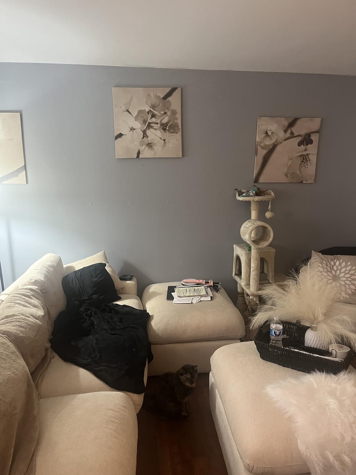 RECOLOR Eco-Friendly Interior Premium Latex Paint for Walls, Furniture and Rooms w/Eggshell Finish, 1 Gallon, Storm customer photo 2