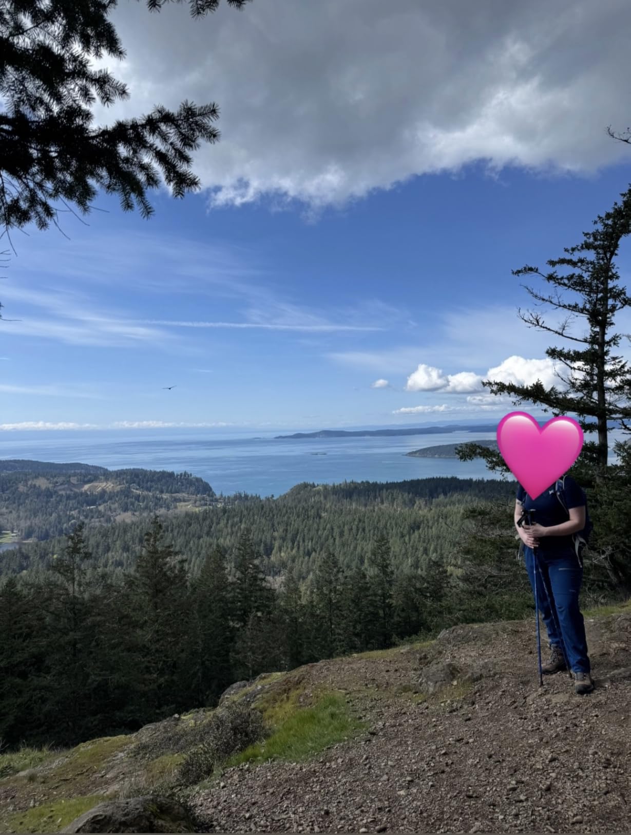 baleaf Women's Hiking Pants Quick Dry Lightweight Water Resistant Elastic Waist Cargo Pants for All Seasons customer photo 1