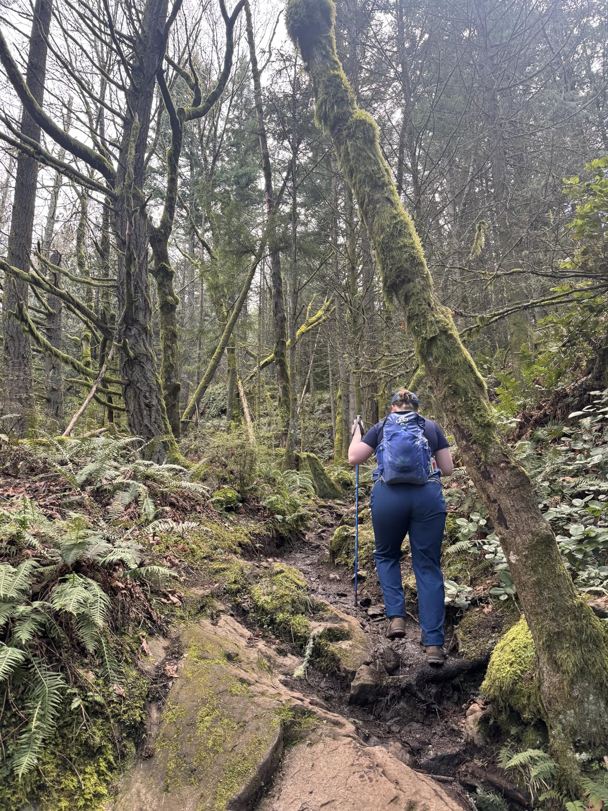 baleaf Women's Hiking Pants Quick Dry Lightweight Water Resistant Elastic Waist Cargo Pants for All Seasons customer photo 2