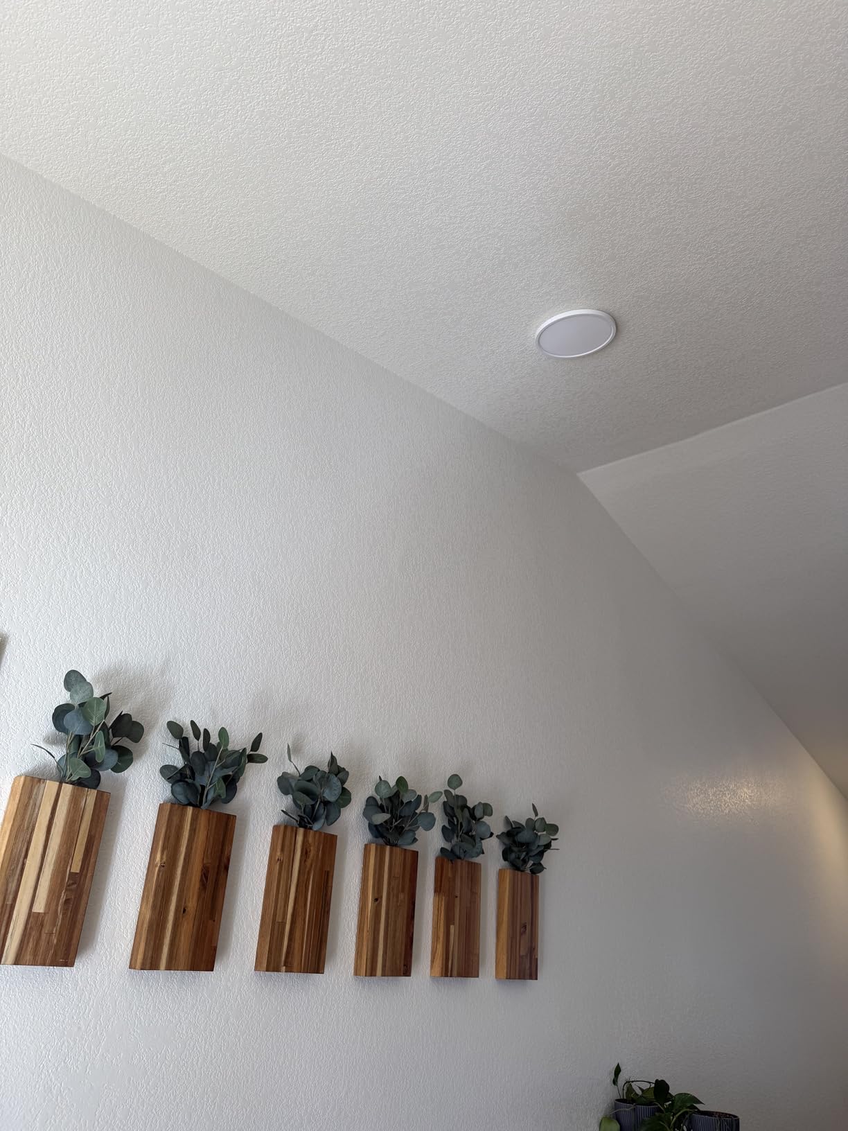 TALOYA Flush Mount 12 Inch Ceiling Light, 20W Surface Mount LED Light Fixture for Bedroom Kitchen, 5 Color Temperatures in One customer photo 2