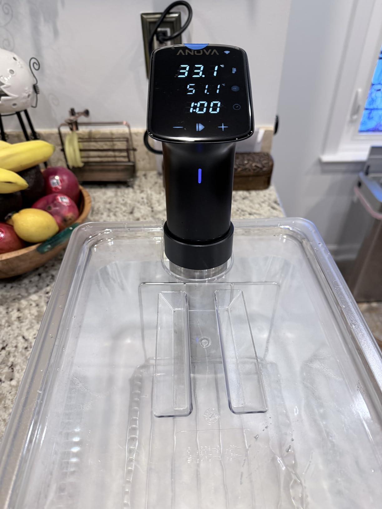 Anova Culinary Sous Vide Precision Cooker Pro, 1200 Watts, Black and Silver customer photo 2