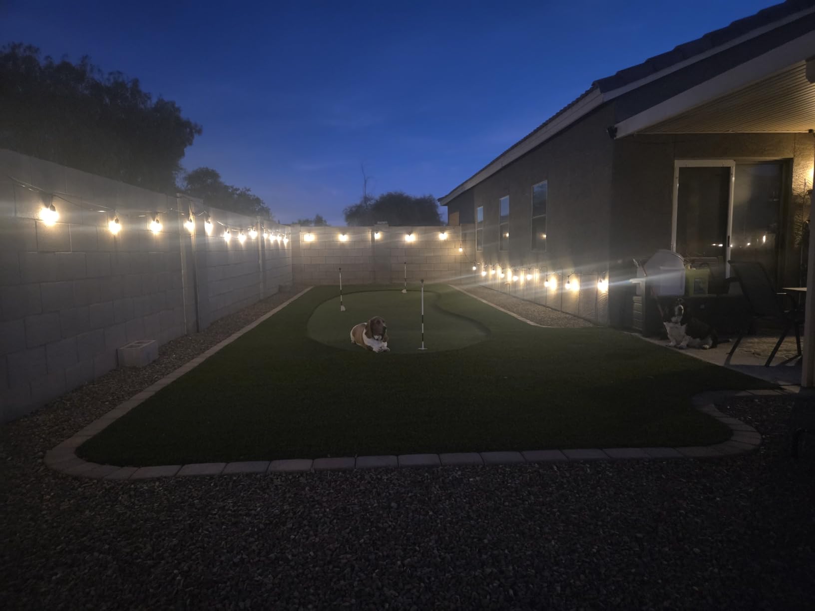 addlon LED Outdoor String Lights 48FT with Edison Vintage Shatterproof Bulbs and Commercial Grade Weatherproof Strand - ETL Listed Decorative Lights for Patio Garden customer photo 2
