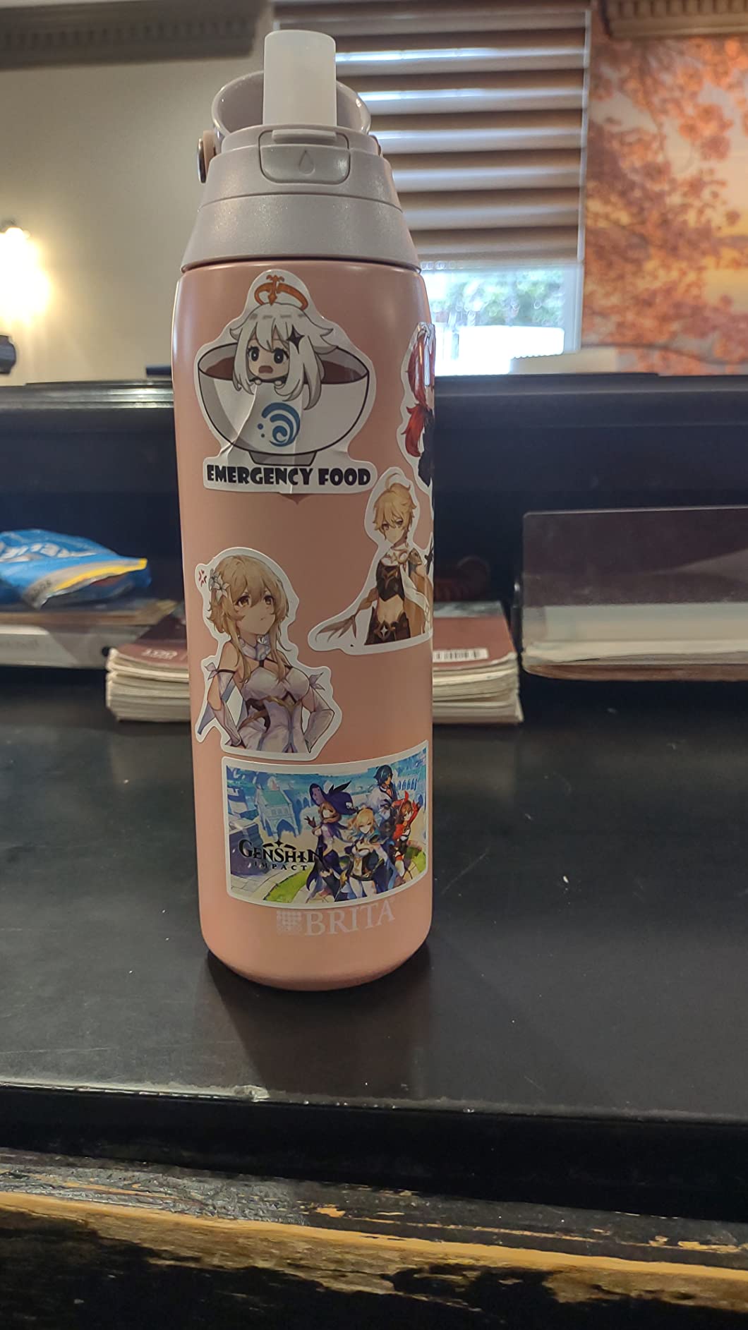 Brita Stainless Steel Premium Filtering Water Bottle, BPA-Free, Reusable, Insulated, Replaces 300 Plastic Water Bottles, Filter Lasts 2 Months or 40 Gallons, Includes 1 Filter, Rose - 20 oz customer photo 2