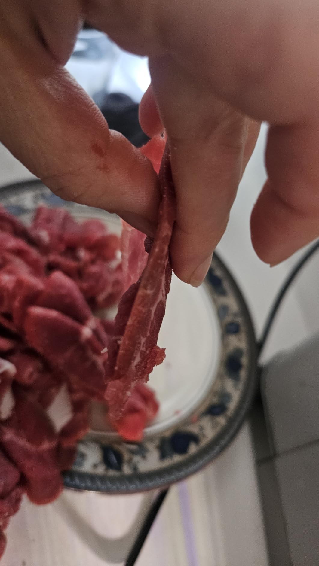 OSTBA Meat Slicer Electric Deli Food Slicer with Child Lock Protection, Removable 7.5'' Stainless Steel Blade and Food Carriage, Adjustable Thickness Food Slicer Machine for Meat, Cheese, Bread(150W) customer photo 2