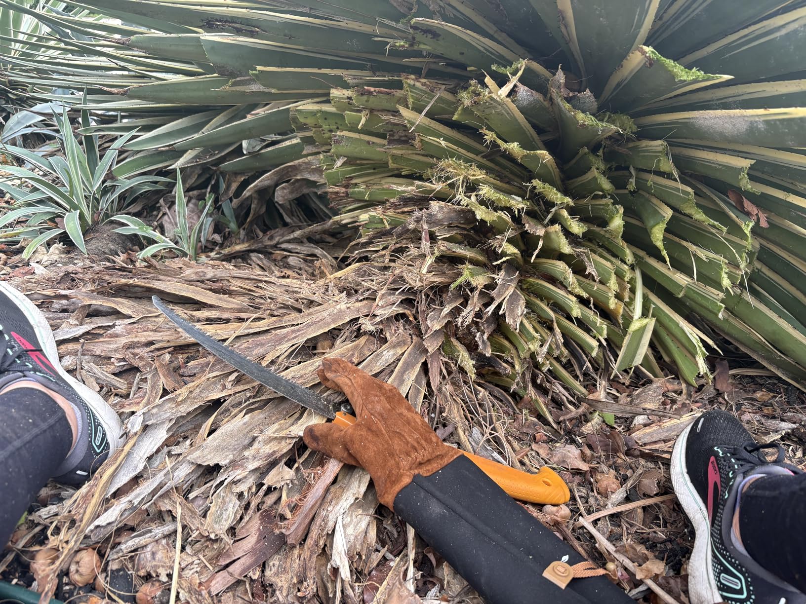 GORILLA GRIP BPA-Free Soft Silicone Oven Mitts, Heat Resistant and Waterproof Cooking Safety Gloves, Thick Cotton Lining, Flexible Gripping, Kitchen Potholders Set, for Grilling, BBQ, 12.5x8.3, Black customer photo 1