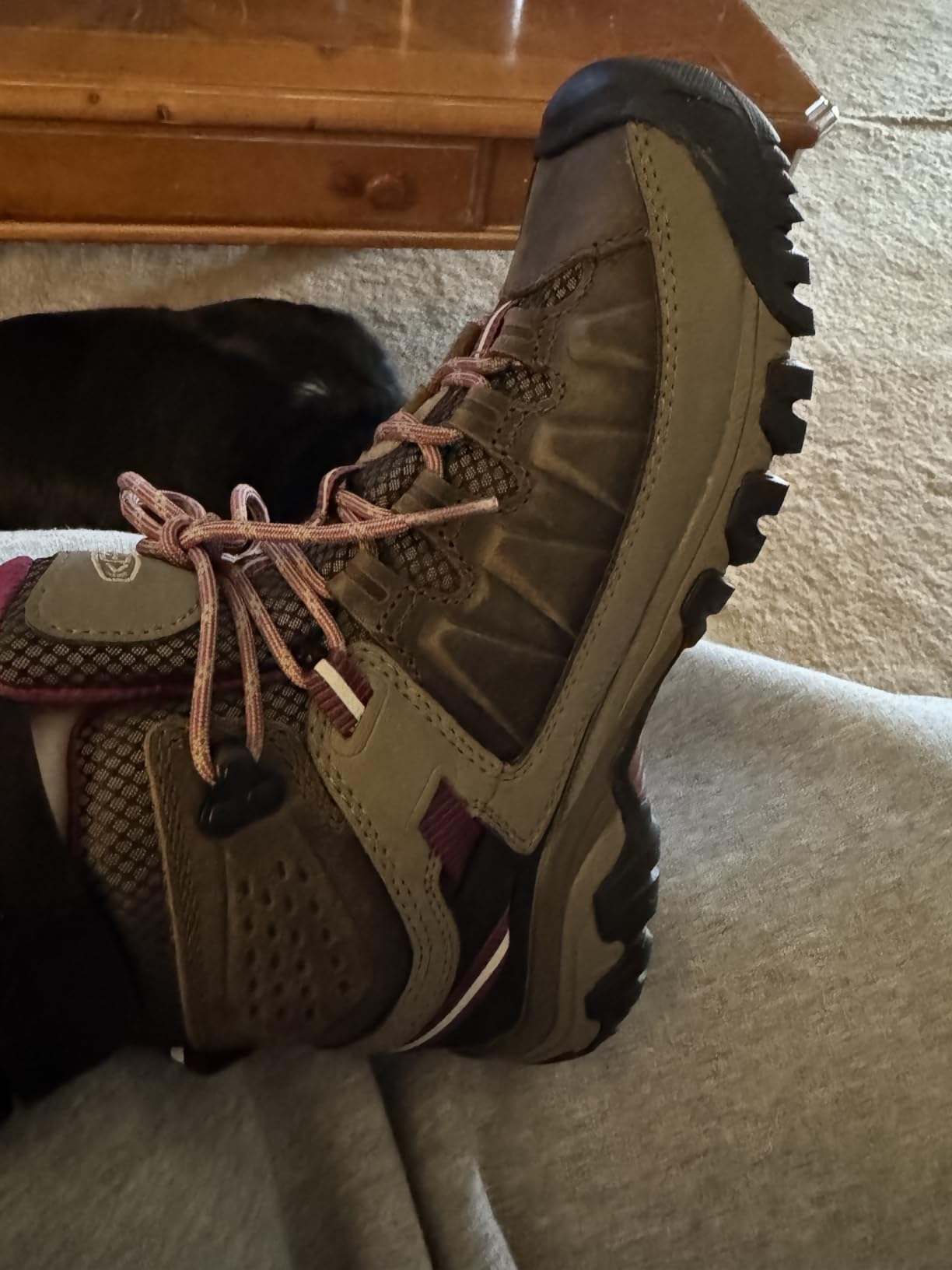 Women's Targhee III Mid Height Waterproof Hiking Boot customer photo 1