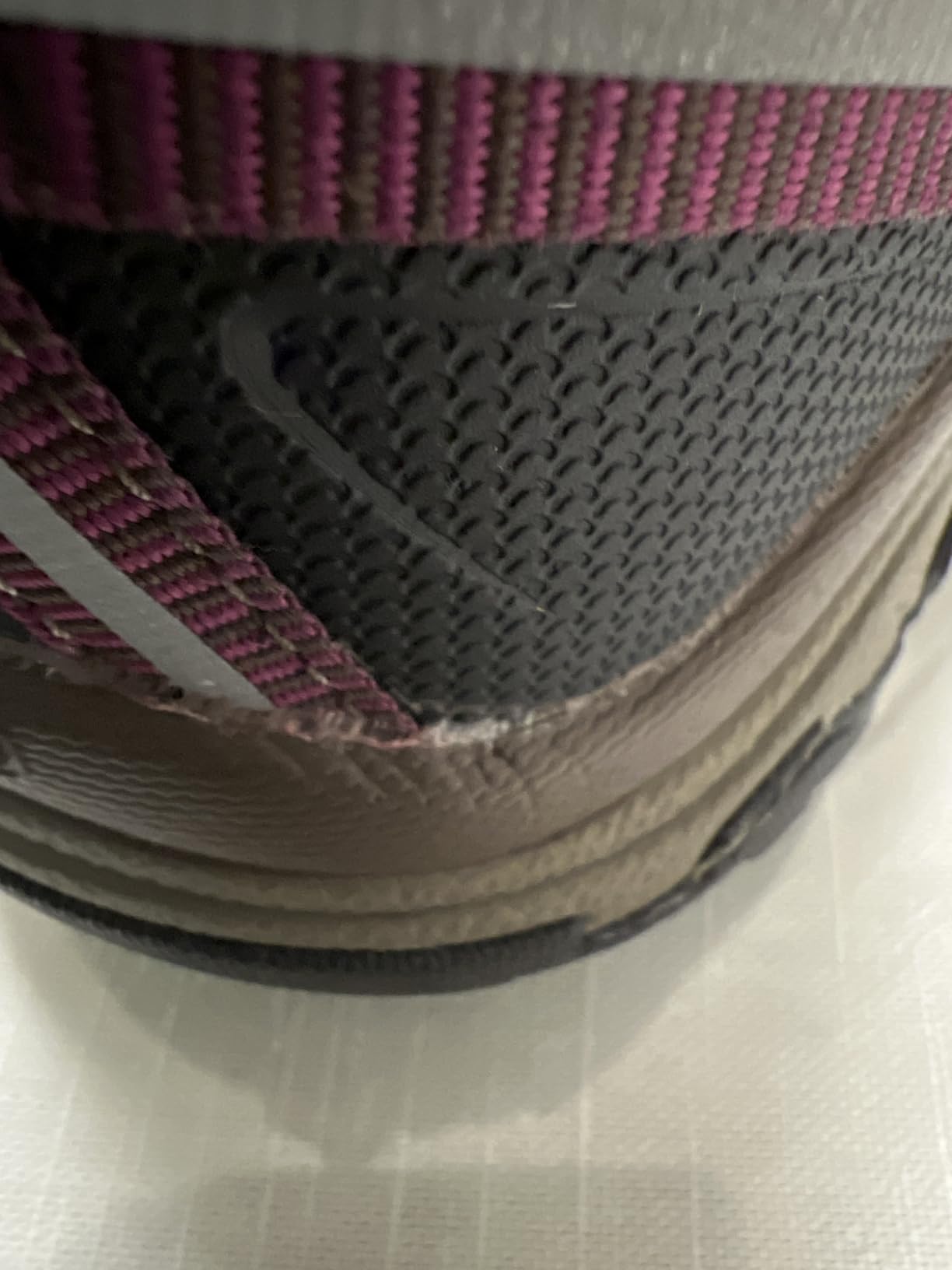 Women's Targhee III Mid Height Waterproof Hiking Boot customer photo 2