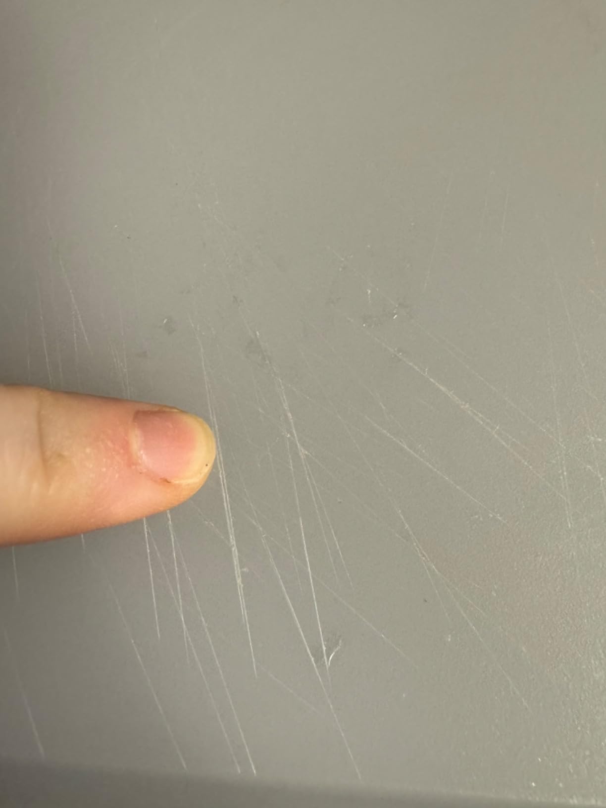 OXO Good Grips 3-Piece Plastic Everyday Cutting Board Set - Red, Green, Blue customer photo 1