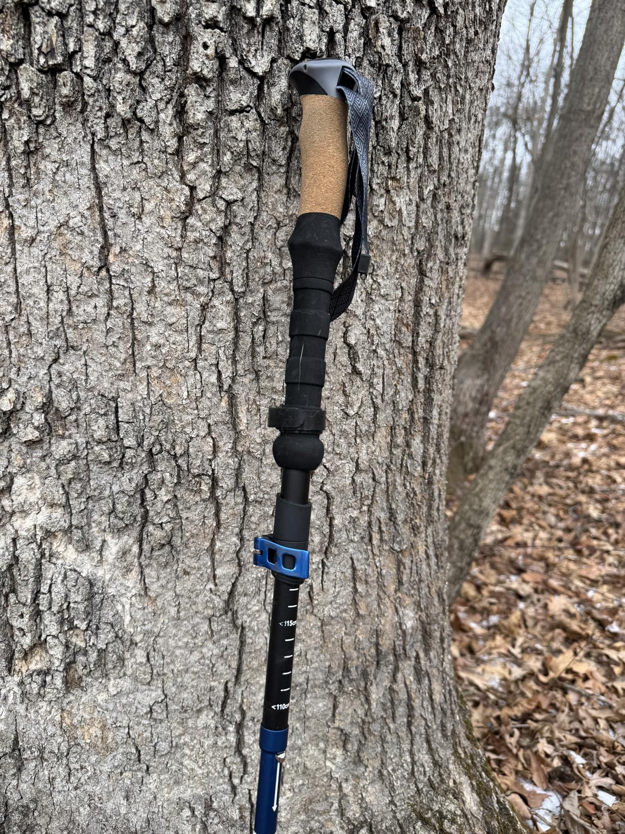 TREKOLOGY Trek-Z Cork Grip Trekking Poles customer photo 1