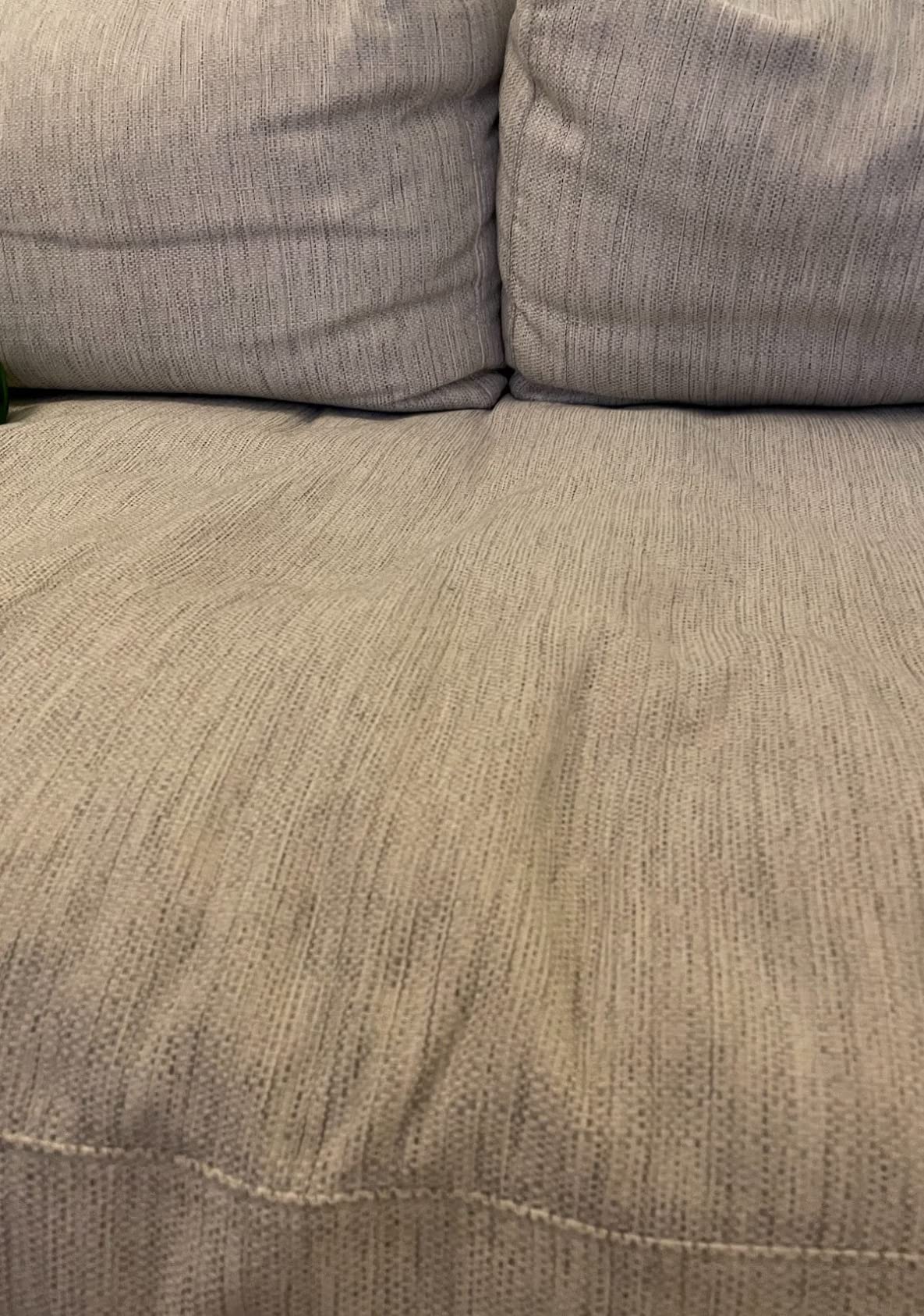 Poly & BARK Capri 99