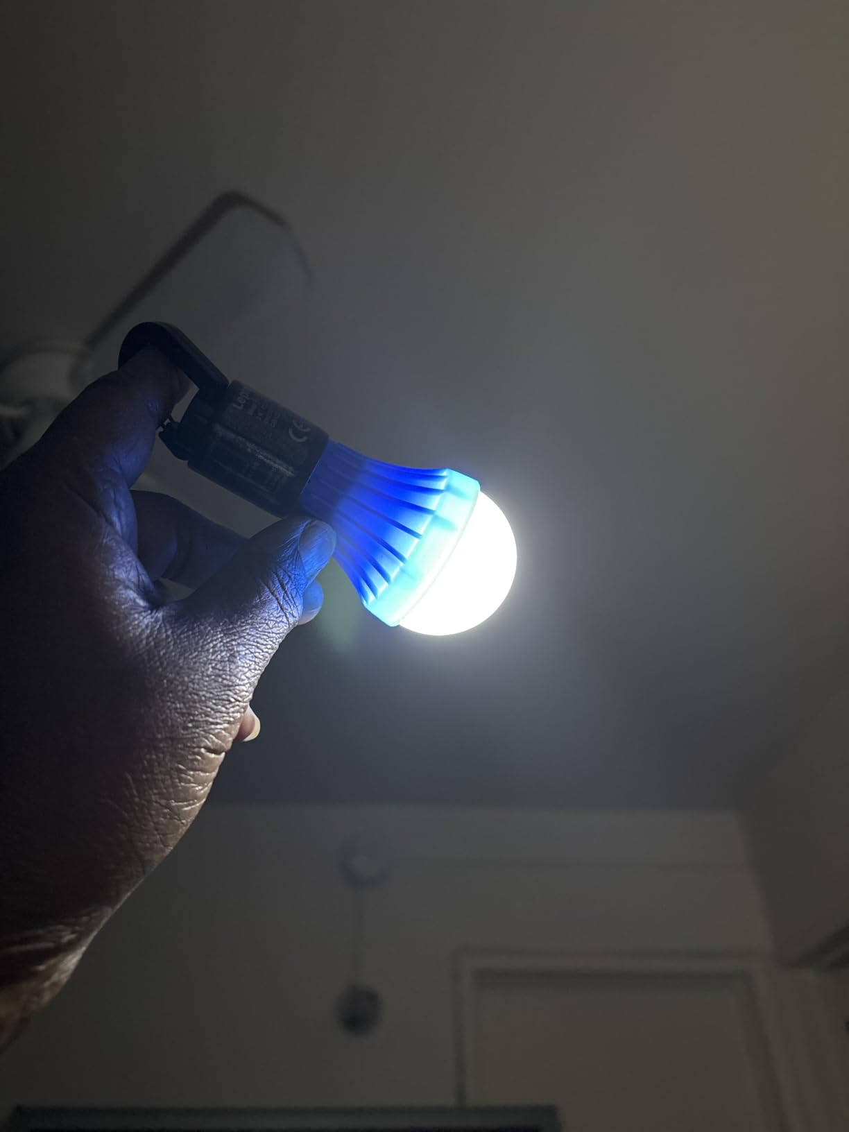 Lepro LED Camping Lantern, Camping Essentials, 3 Lighting Modes, Hanging Tent Light Bulbs with Clip Hook for Camping, Hiking, Hurricane, Storms, Outages, Collapsible, Batteries Included, 4 Packs customer photo 1