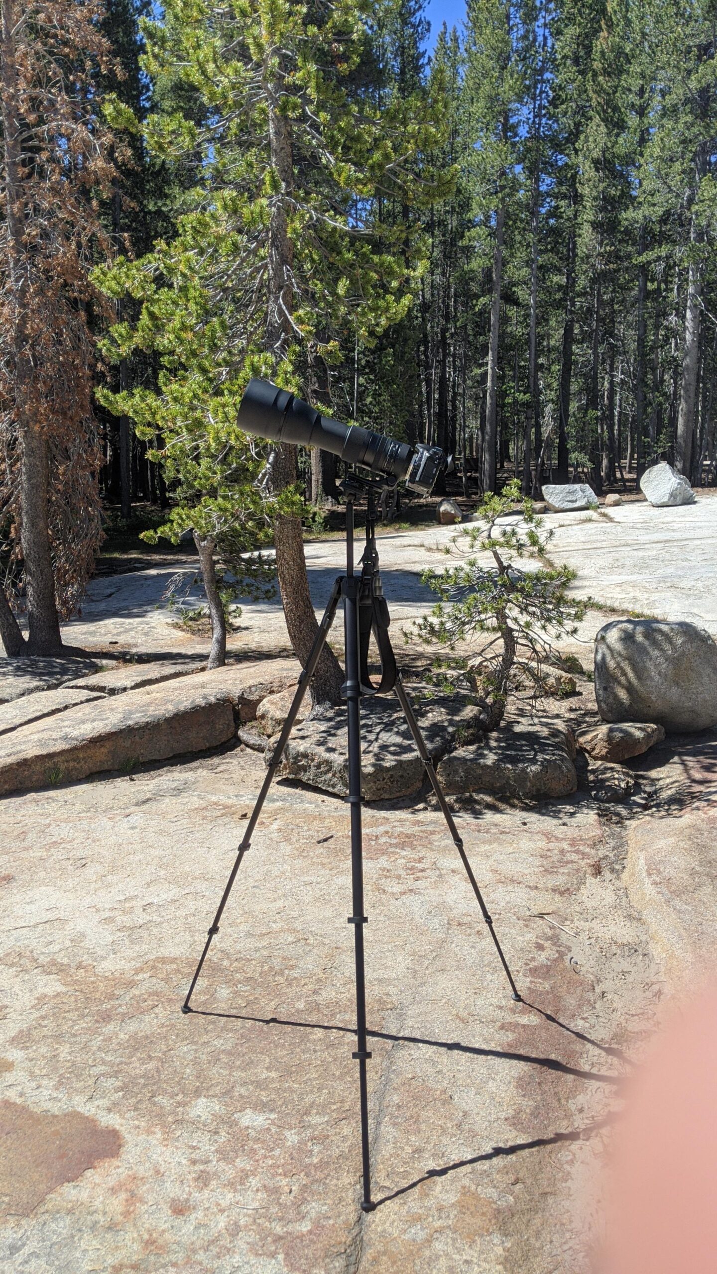 Peak Design Travel Tripod, Aluminum, Compact Design, Quick Setup and Takedown, Pro-Level Stability, Ergonomic Ball Head, Compact and Portable Travel Tripod for Camera and Phone, 20 lb Capacity customer photo 2