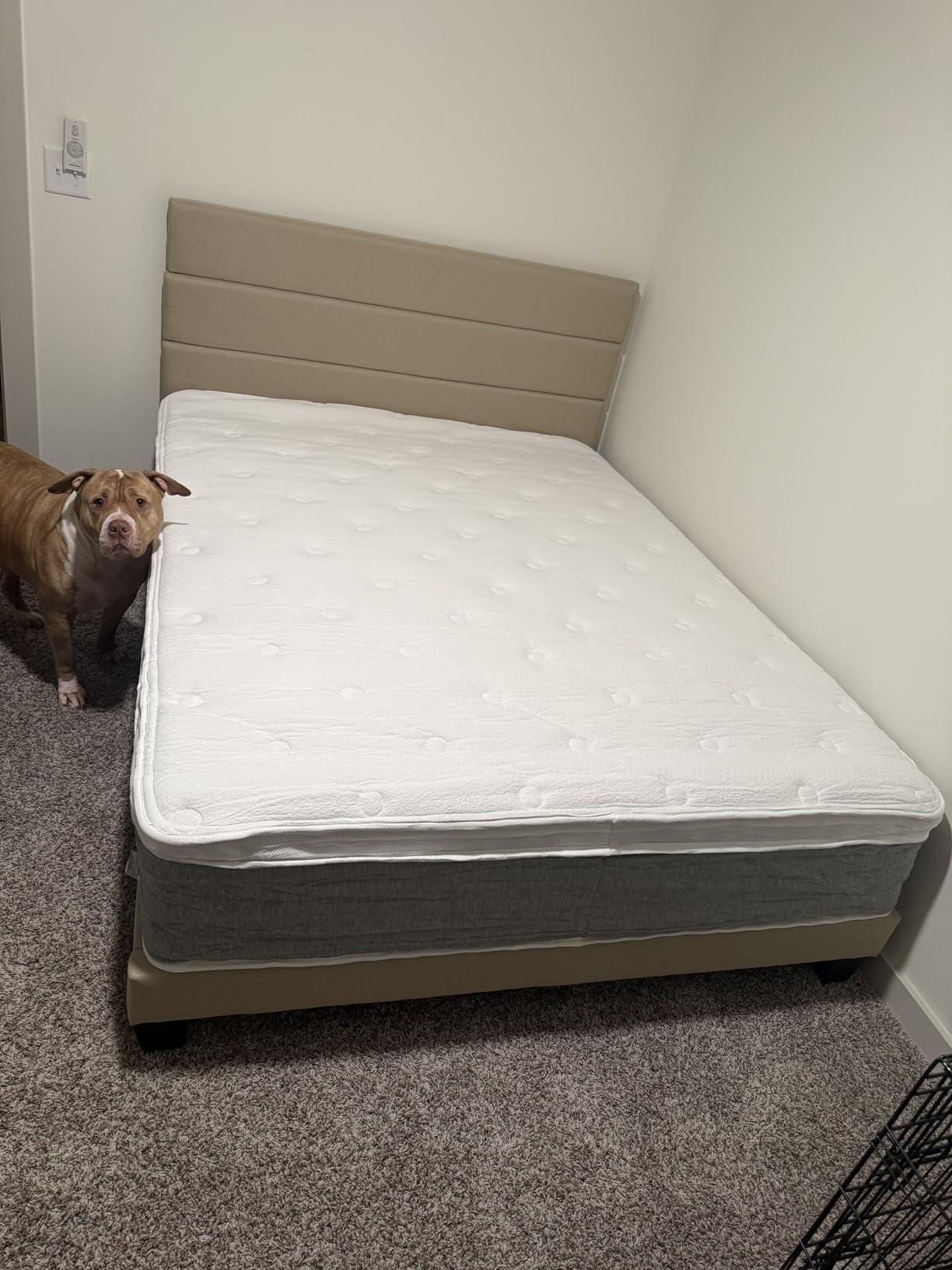 Allewie Queen Size Platform Bed Frame with Fabric Upholstered Headboard and Wooden Slats Support, Fully Upholstered Mattress Foundation, No Box Spring Needed, Easy Assembly, Dark Grey customer photo 2