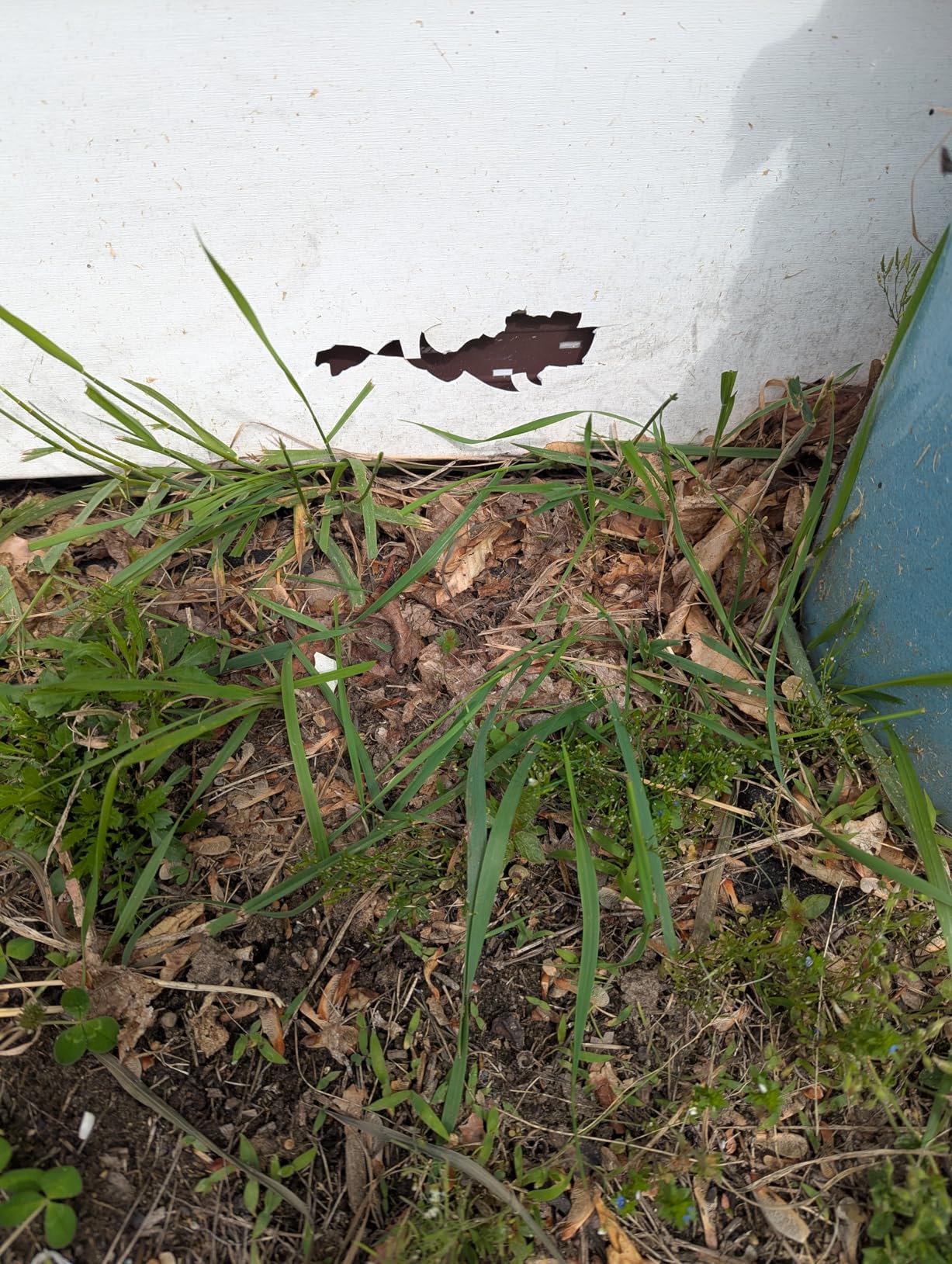 Vinyl Siding Repair Kit, Cover Any Cracks, Holes, or Blemishes on Vinyl Siding (12 Patches) customer photo 2
