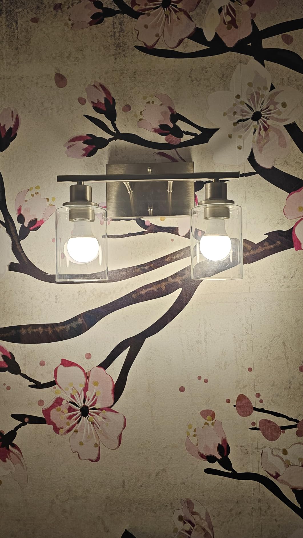 ShineTech 2-Light Bathroom Vanity Light Fixture, Brushed Nickel Bathroom Light Fixtures Over Mirror, Modern Wall Mounted Bathroom Lighting with Clear Glass Shade for Bathroom, Bedroom, Hallway customer photo 1