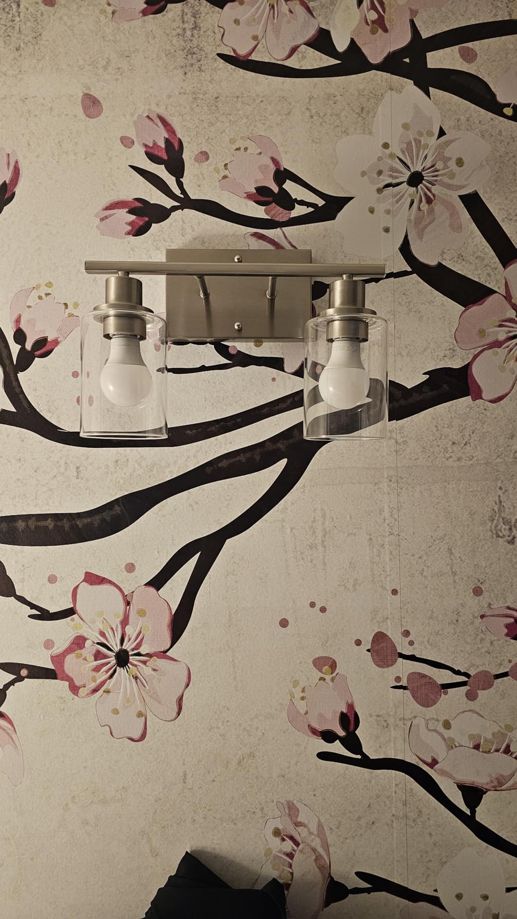 ShineTech 2-Light Bathroom Vanity Light Fixture, Brushed Nickel Bathroom Light Fixtures Over Mirror, Modern Wall Mounted Bathroom Lighting with Clear Glass Shade for Bathroom, Bedroom, Hallway customer photo 2