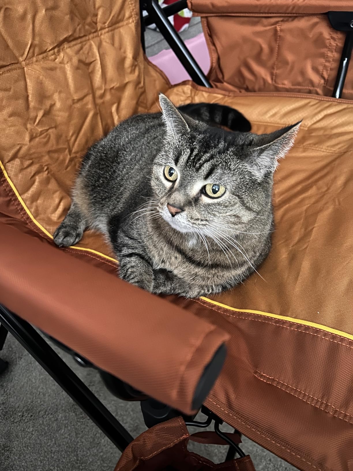 TIMBER RIDGE Oversized Folding Camping Chair High Back Heavy Duty for Adults Support up to 500lbs with Cup Holder, Side Pocket Cooler Bag customer photo 1