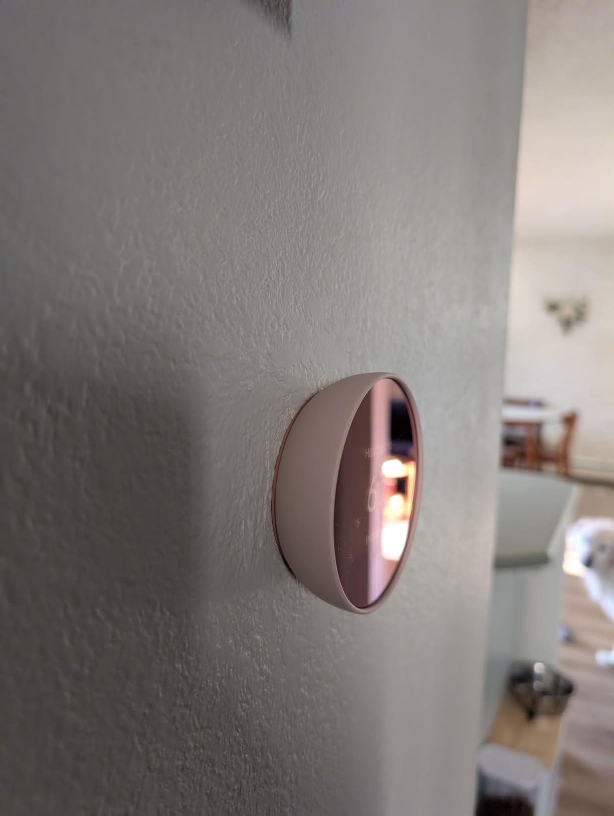 Google Nest Thermostat - Smart Thermostat for Home - Programmable Wifi Thermostat - Snow customer photo 2