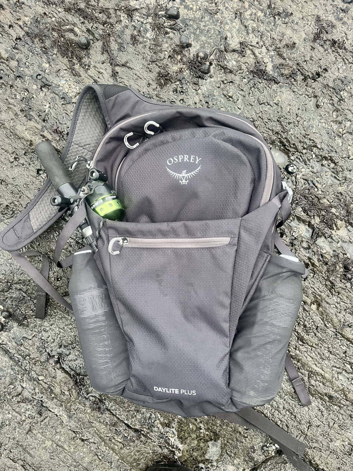 Osprey Daylite Plus Commuter Backpack - Lightweight, Everyday Pack with Laptop Sleeve and Water Bottle Pockets - Ideal for Work, School, and Travel with Versatile Storage Options, Black customer photo 1