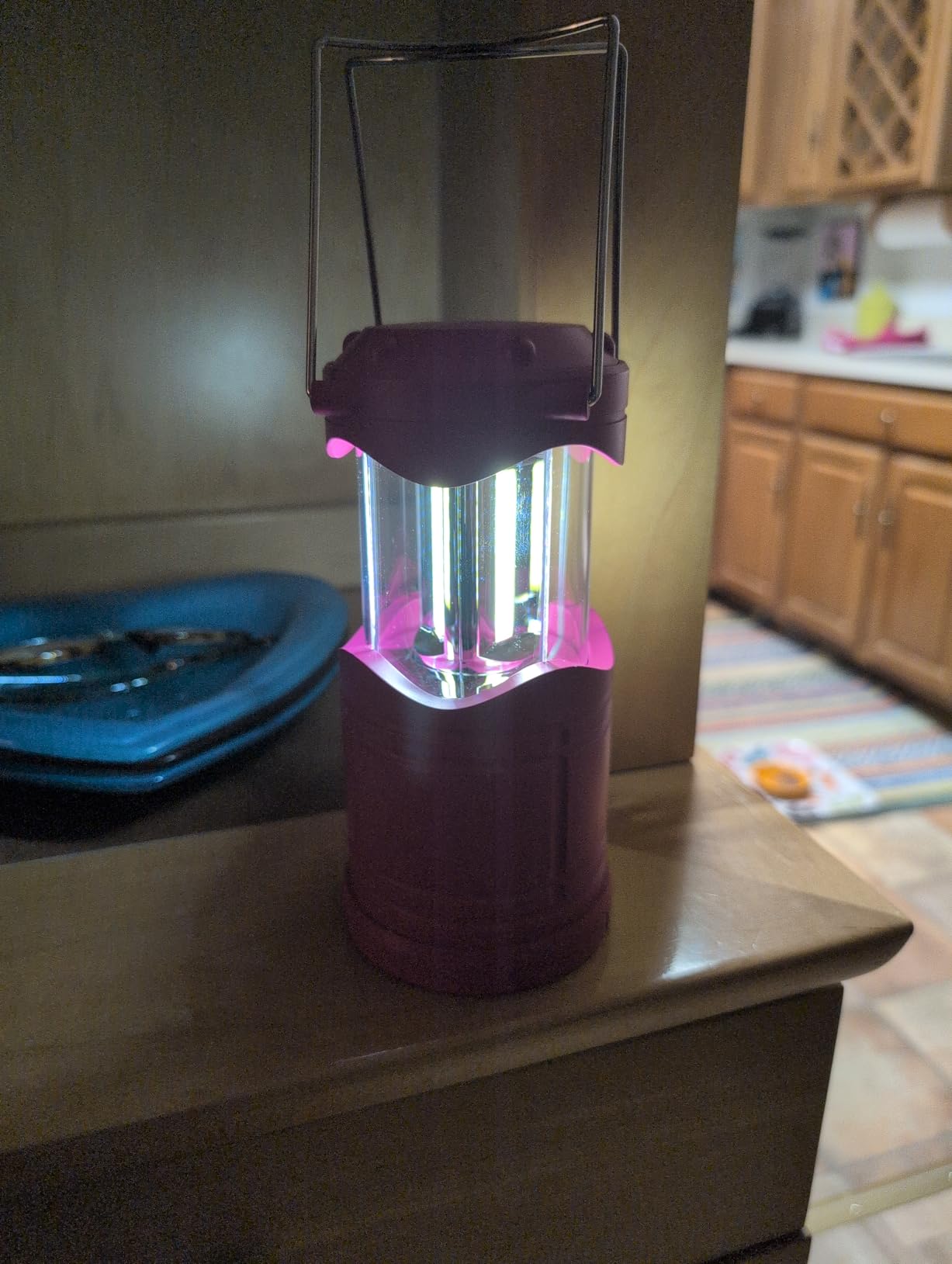 Lichamp LED Camping Lantern, 4 Pack Battery Powered Flashlight for Power Outages, Portable Collapsible Hanging Light Essential for Home, Outdoor, Emergency Lamp Survival Kit Gear for Hurricane, Gray customer photo 1