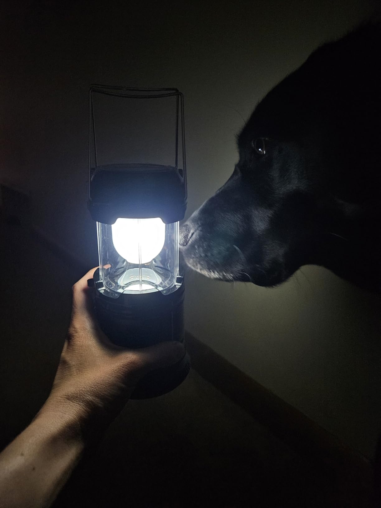 Collapsible Portable LED Camping Lantern XTAUTO Lightweight Waterproof Solar USB Rechargeable LED Flashlight Survival Kits for Indoor Outdoor Home Emergency Light Power Outages Hiking Hurricane 4-Pack customer photo 2